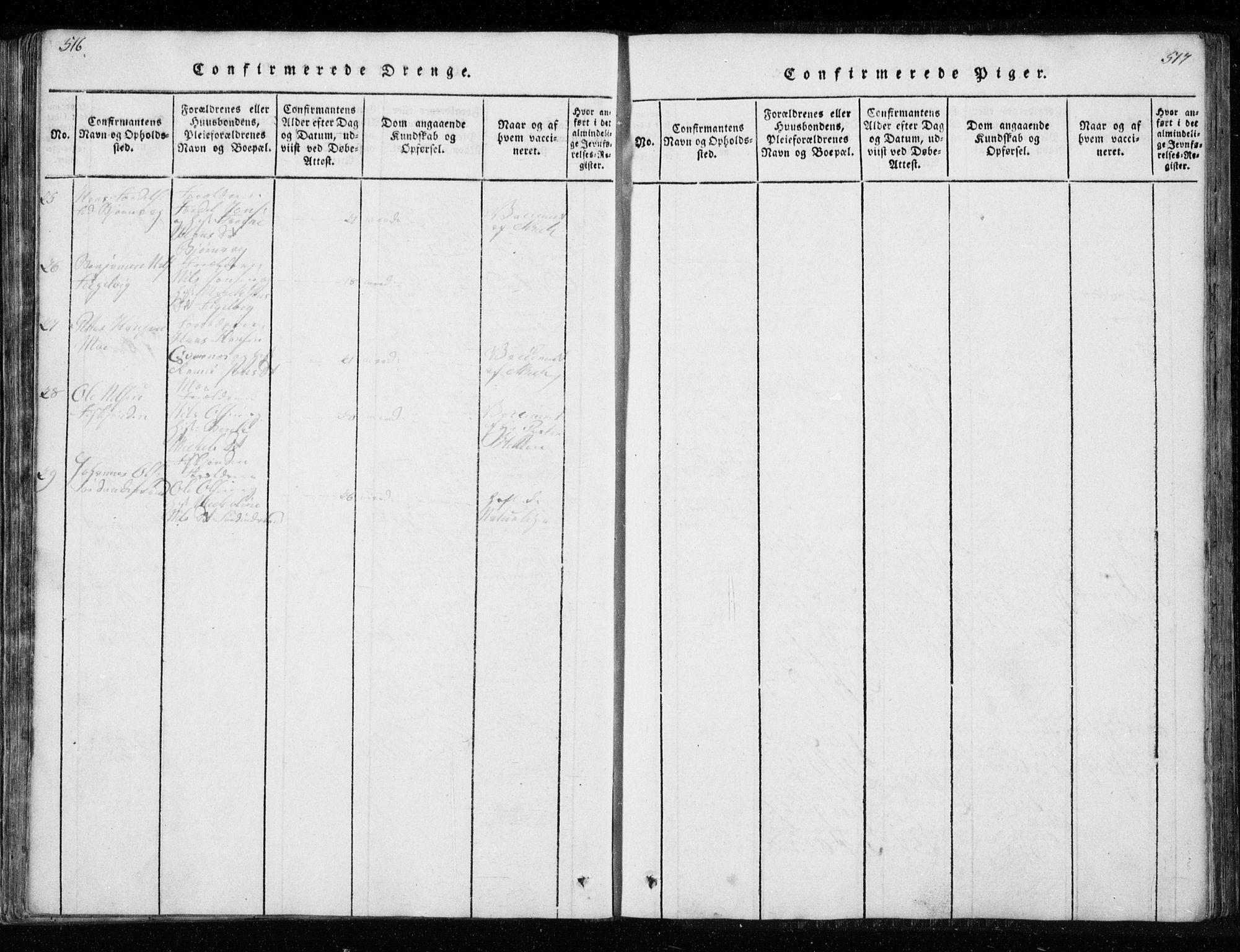 Ministerialprotokoller, klokkerbøker og fødselsregistre - Nordland, AV/SAT-A-1459/827/L0412: Parish register (copy) no. 827C01, 1820-1841, p. 516-517