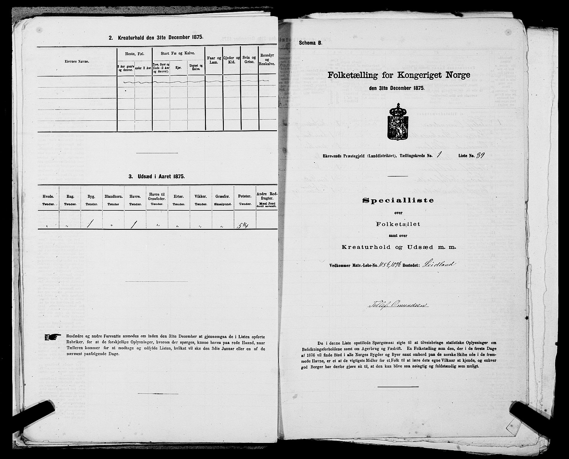 SAST, 1875 census for 1116L Eigersund/Eigersund og Ogna, 1875, p. 249