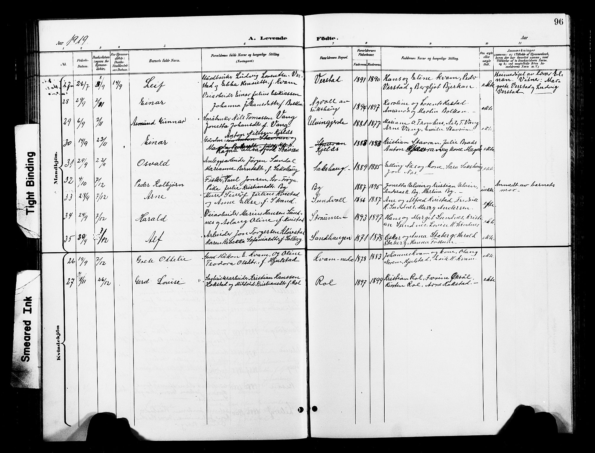 Ministerialprotokoller, klokkerbøker og fødselsregistre - Nord-Trøndelag, AV/SAT-A-1458/730/L0302: Parish register (copy) no. 730C05, 1898-1924, p. 96