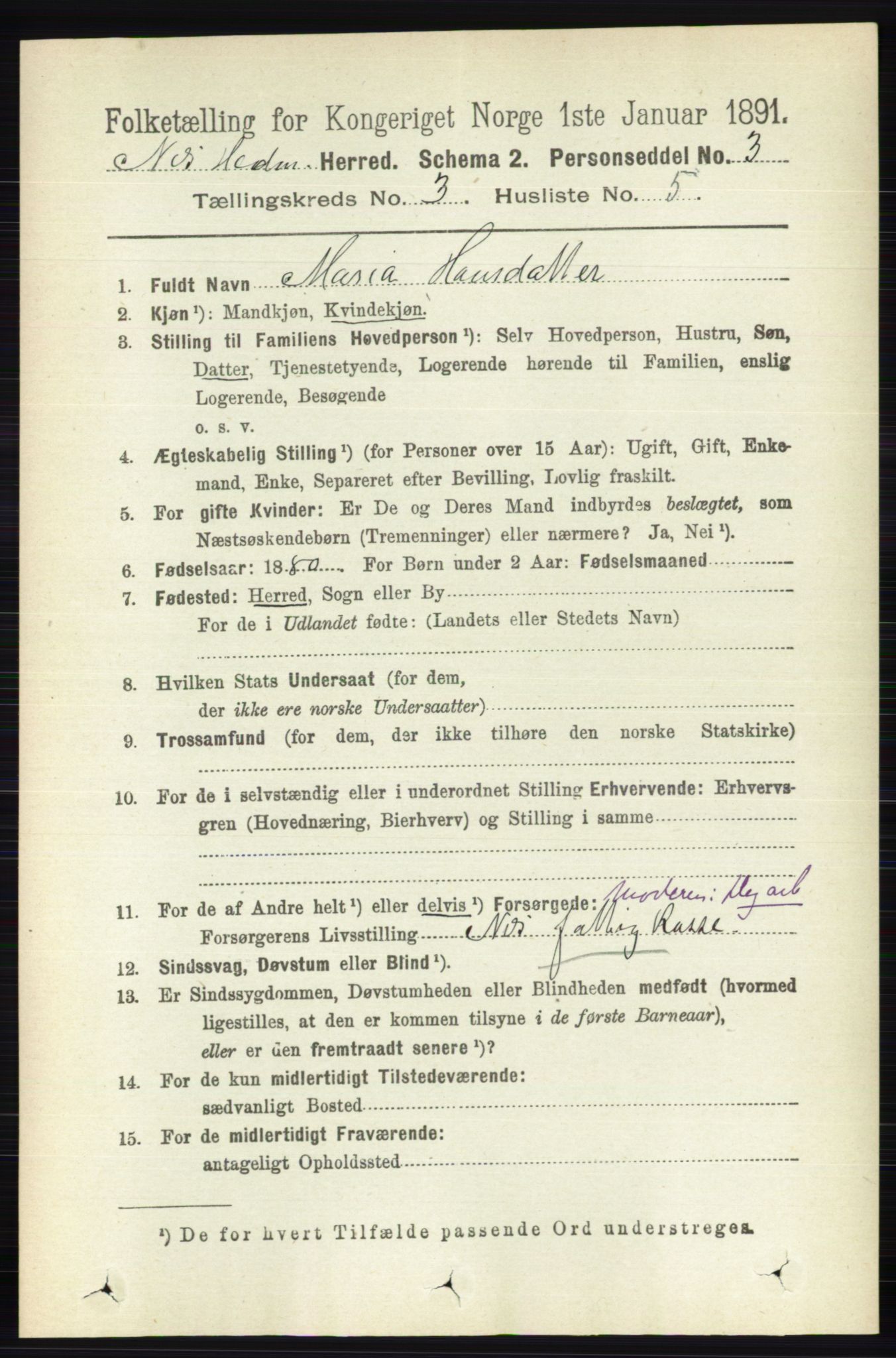 RA, 1891 census for 0411 Nes, 1891, p. 1620