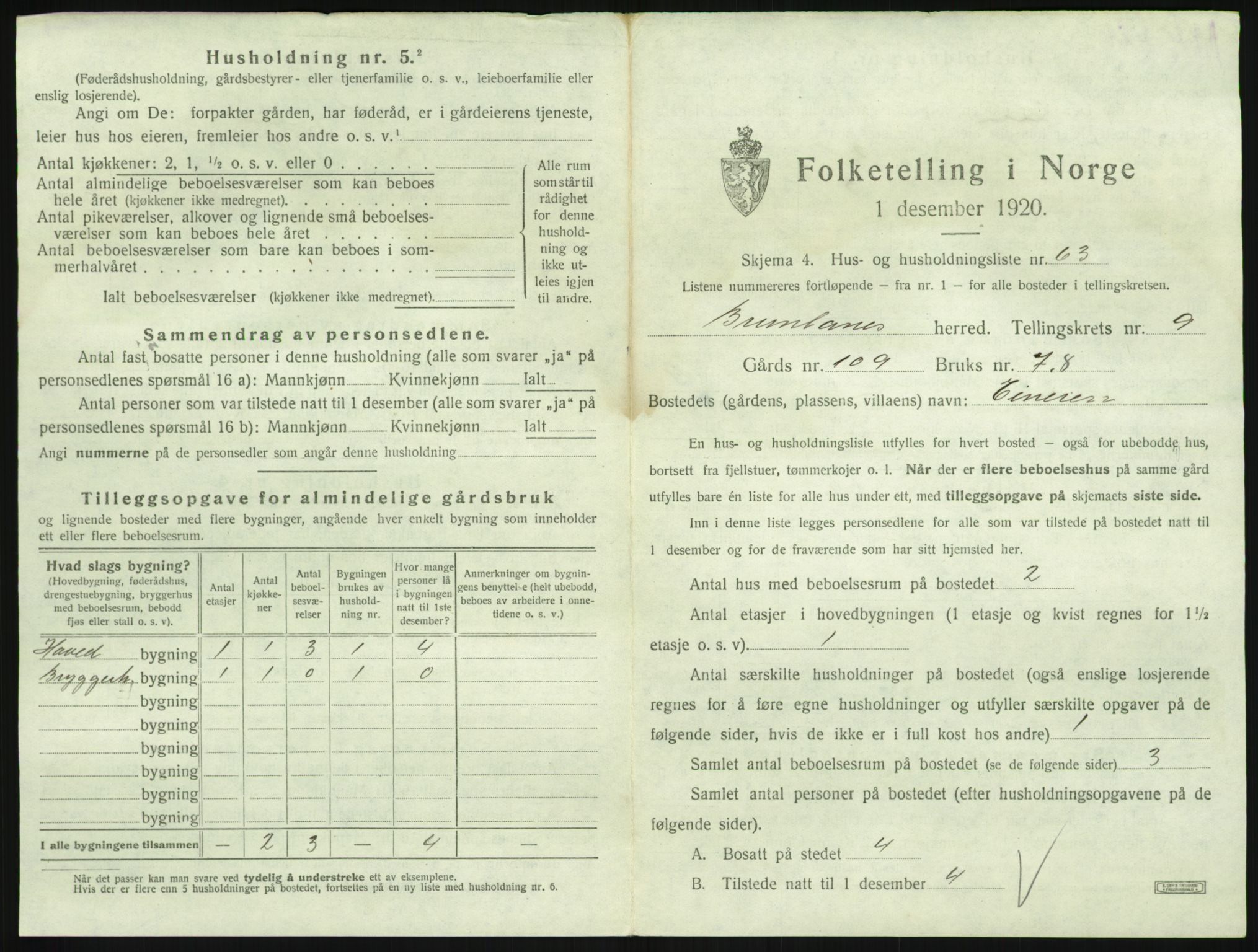 SAKO, 1920 census for Brunlanes, 1920, p. 1205