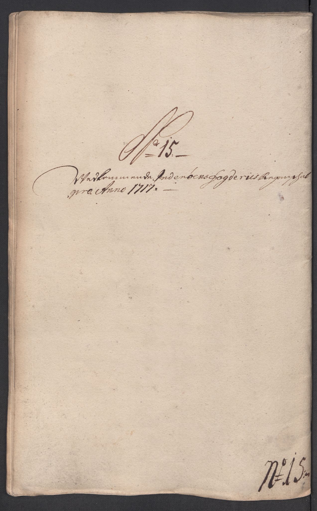 Rentekammeret inntil 1814, Reviderte regnskaper, Fogderegnskap, AV/RA-EA-4092/R63/L4325: Fogderegnskap Inderøy, 1717, p. 208