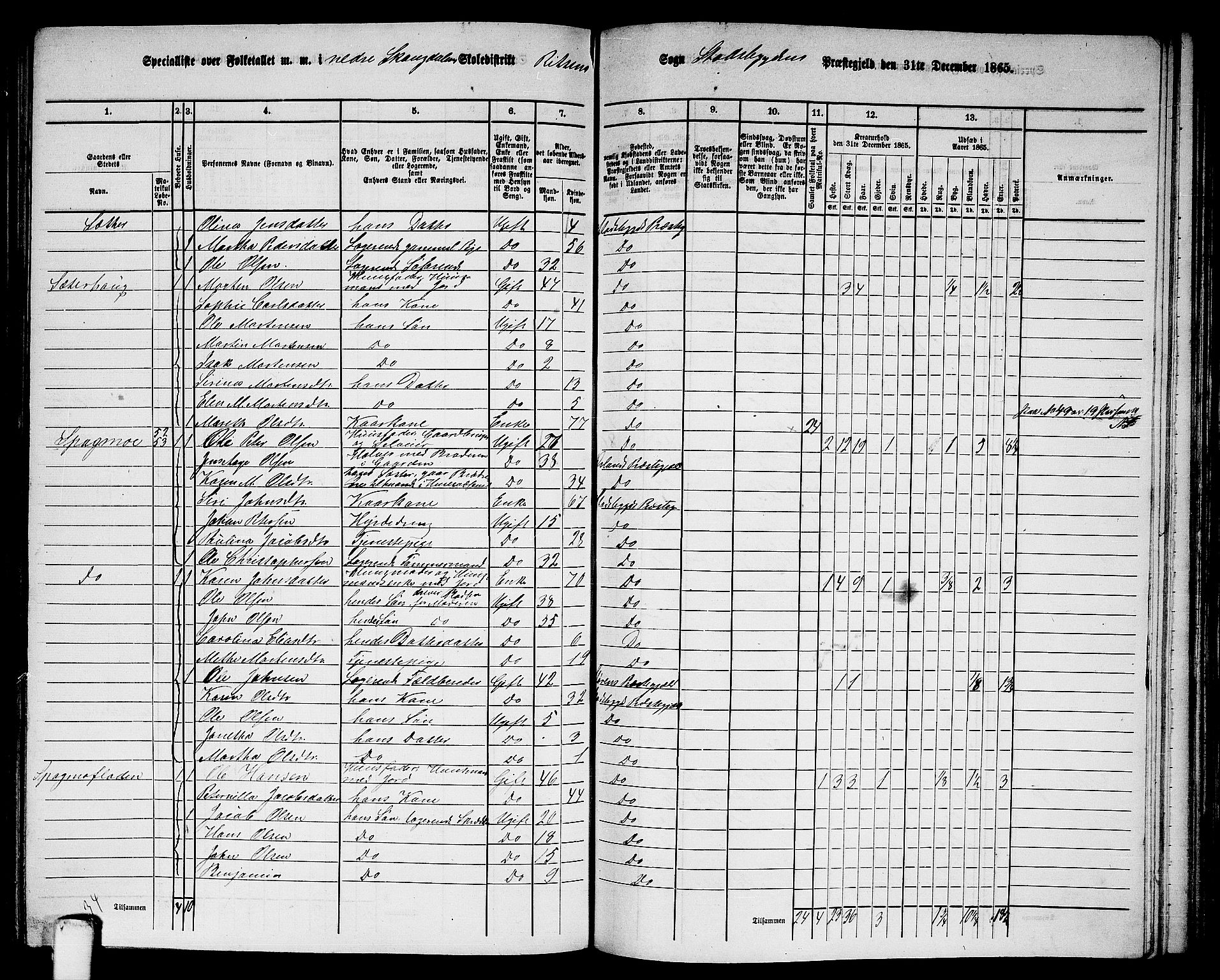 RA, 1865 census for Stadsbygd, 1865, p. 144
