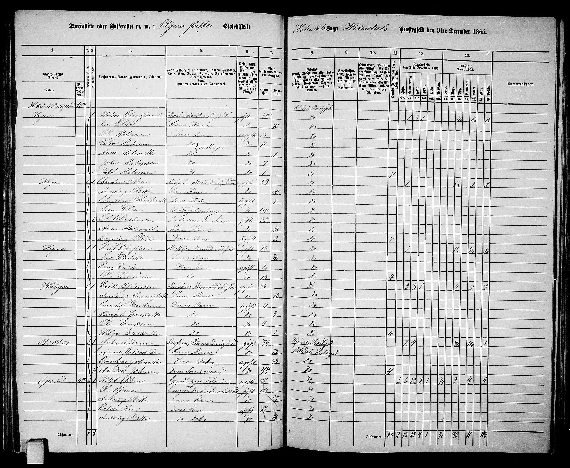 RA, 1865 census for Heddal, 1865, p. 55