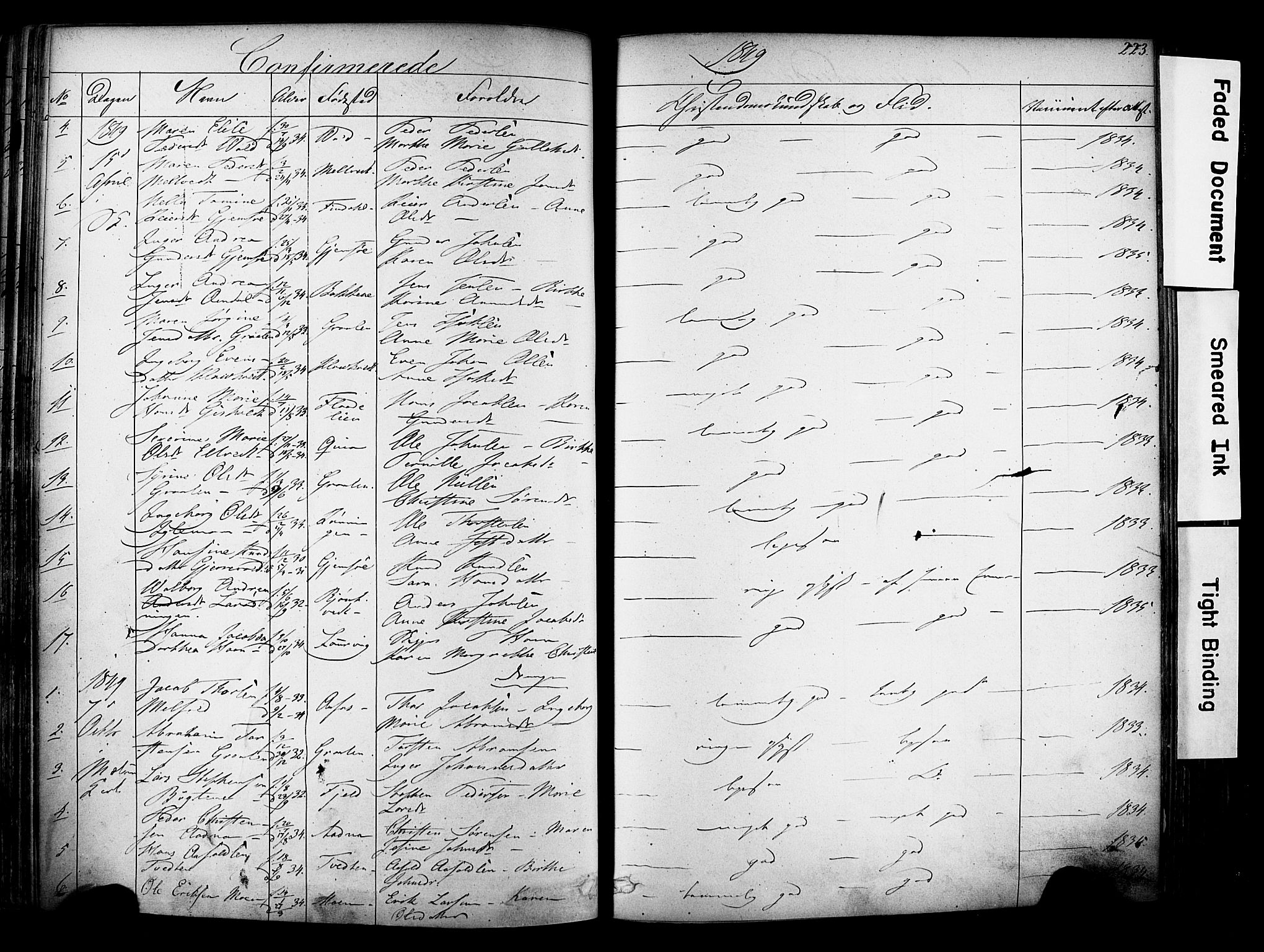 Solum kirkebøker, AV/SAKO-A-306/F/Fa/L0006: Parish register (official) no. I 6, 1844-1855, p. 223