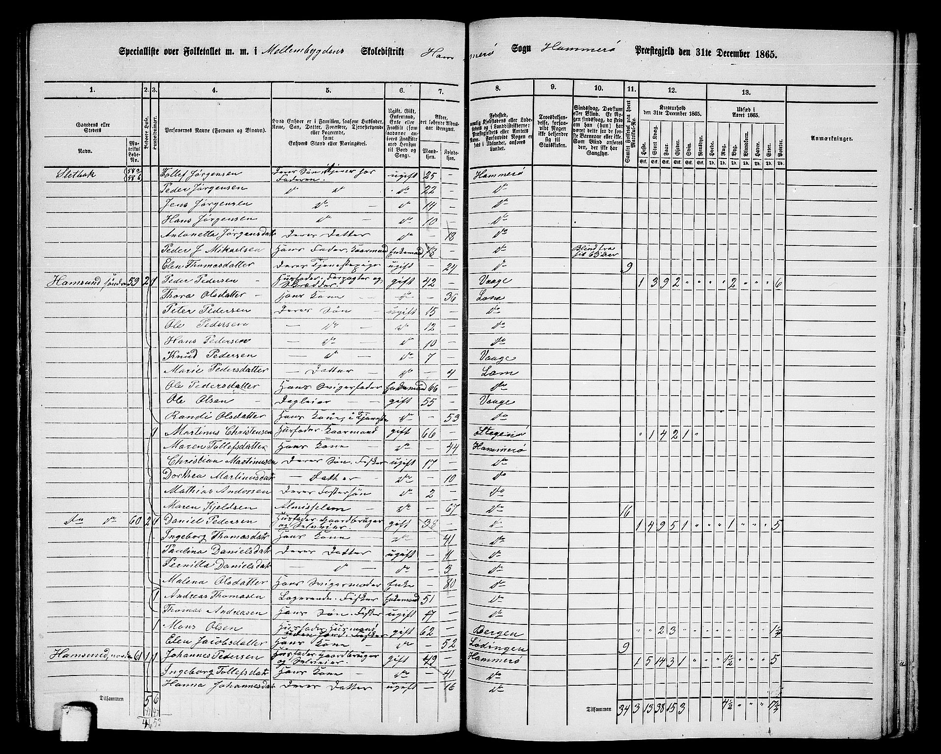 RA, 1865 census for Hamarøy, 1865, p. 36