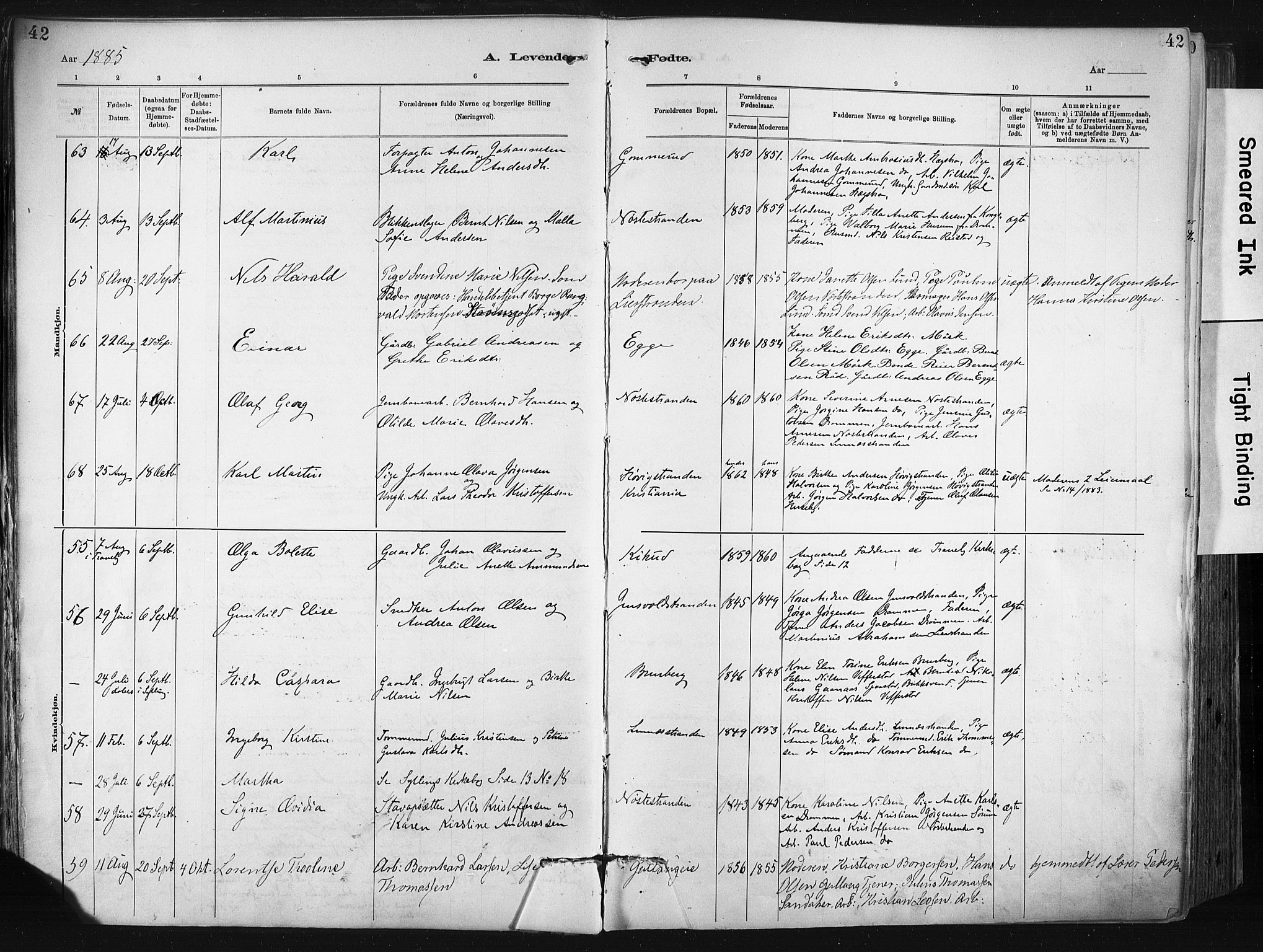 Lier kirkebøker, AV/SAKO-A-230/F/Fa/L0015: Parish register (official) no. I 15, 1883-1894, p. 42