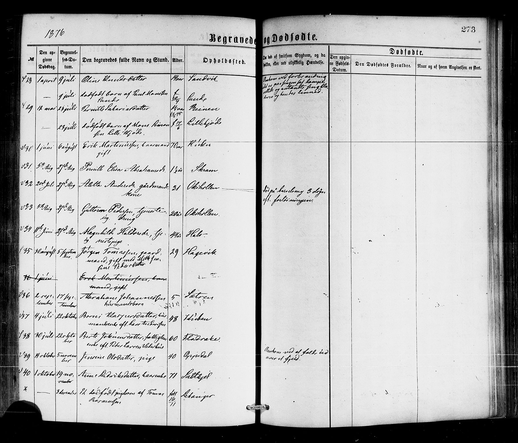 Selje sokneprestembete, SAB/A-99938/H/Ha/Haa/Haaa: Parish register (official) no. A 12, 1870-1880, p. 273