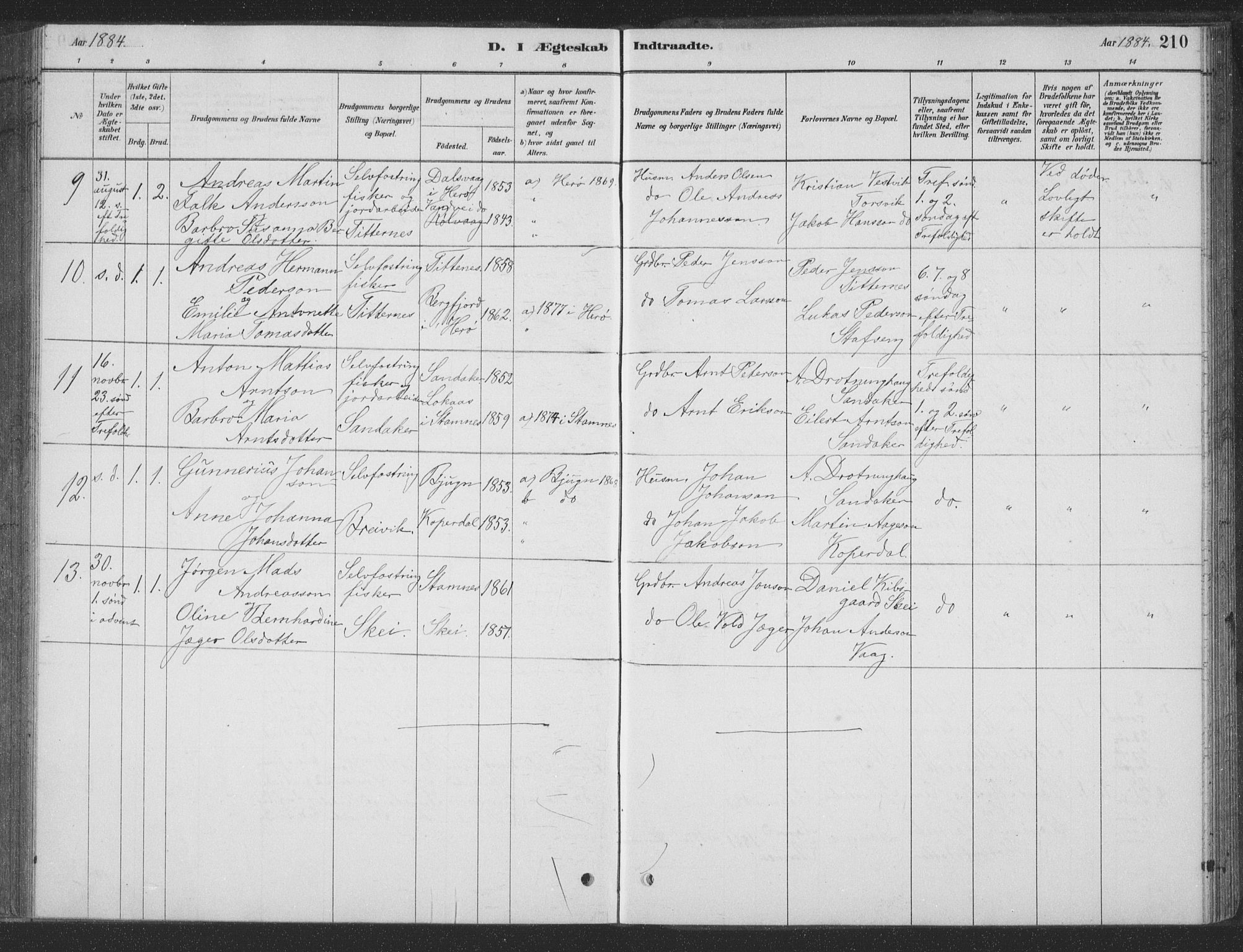 Ministerialprotokoller, klokkerbøker og fødselsregistre - Nordland, SAT/A-1459/835/L0532: Parish register (copy) no. 835C04, 1880-1905, p. 210