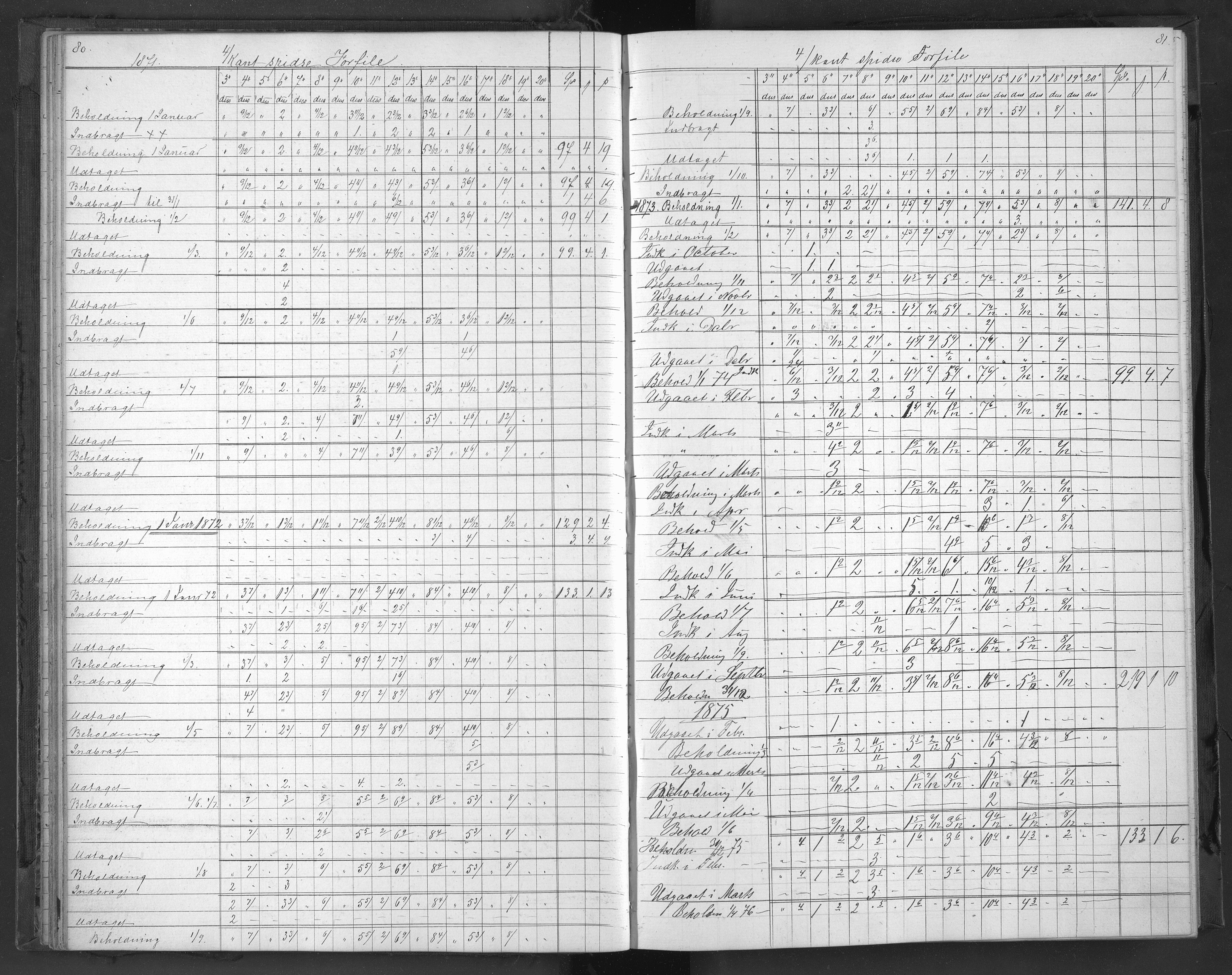 Egelands Jernverk, AAKS/PA-1907/01/L0055: Filbeholdningsbok, 1871-1875, p. 80-81