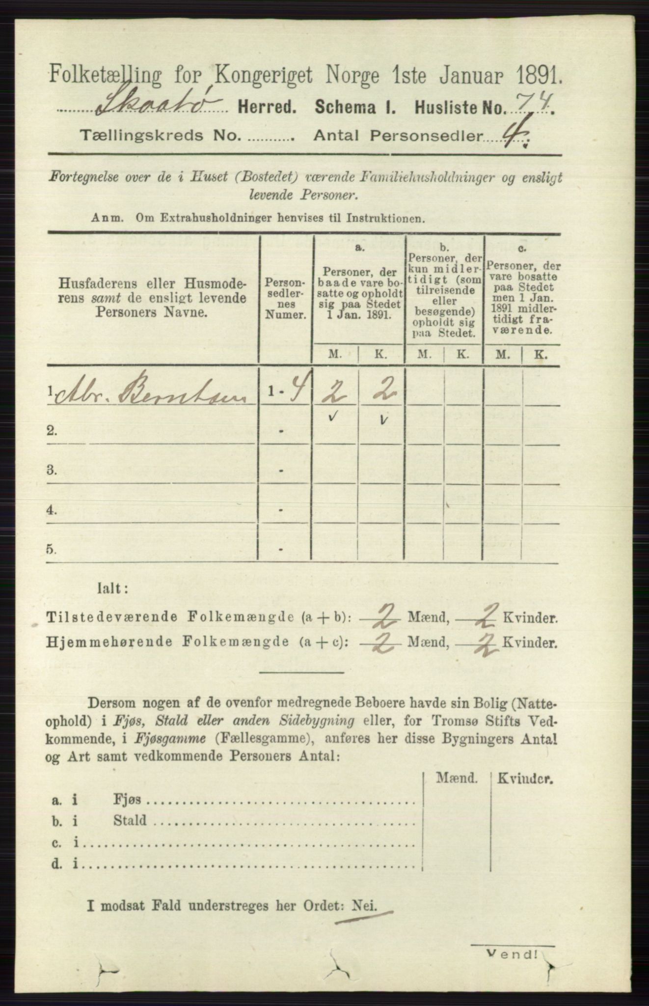 RA, 1891 census for 0815 Skåtøy, 1891, p. 3072