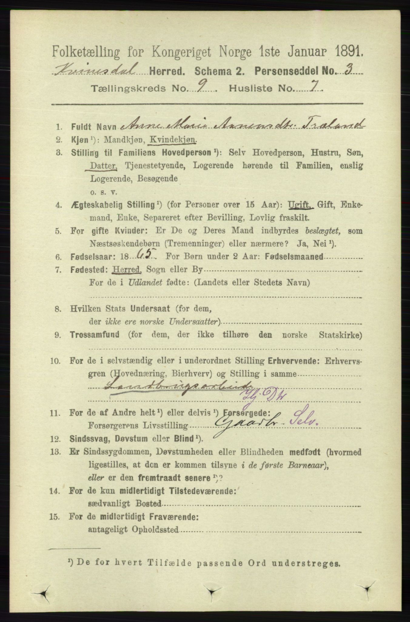 RA, 1891 census for 1037 Kvinesdal, 1891, p. 3323