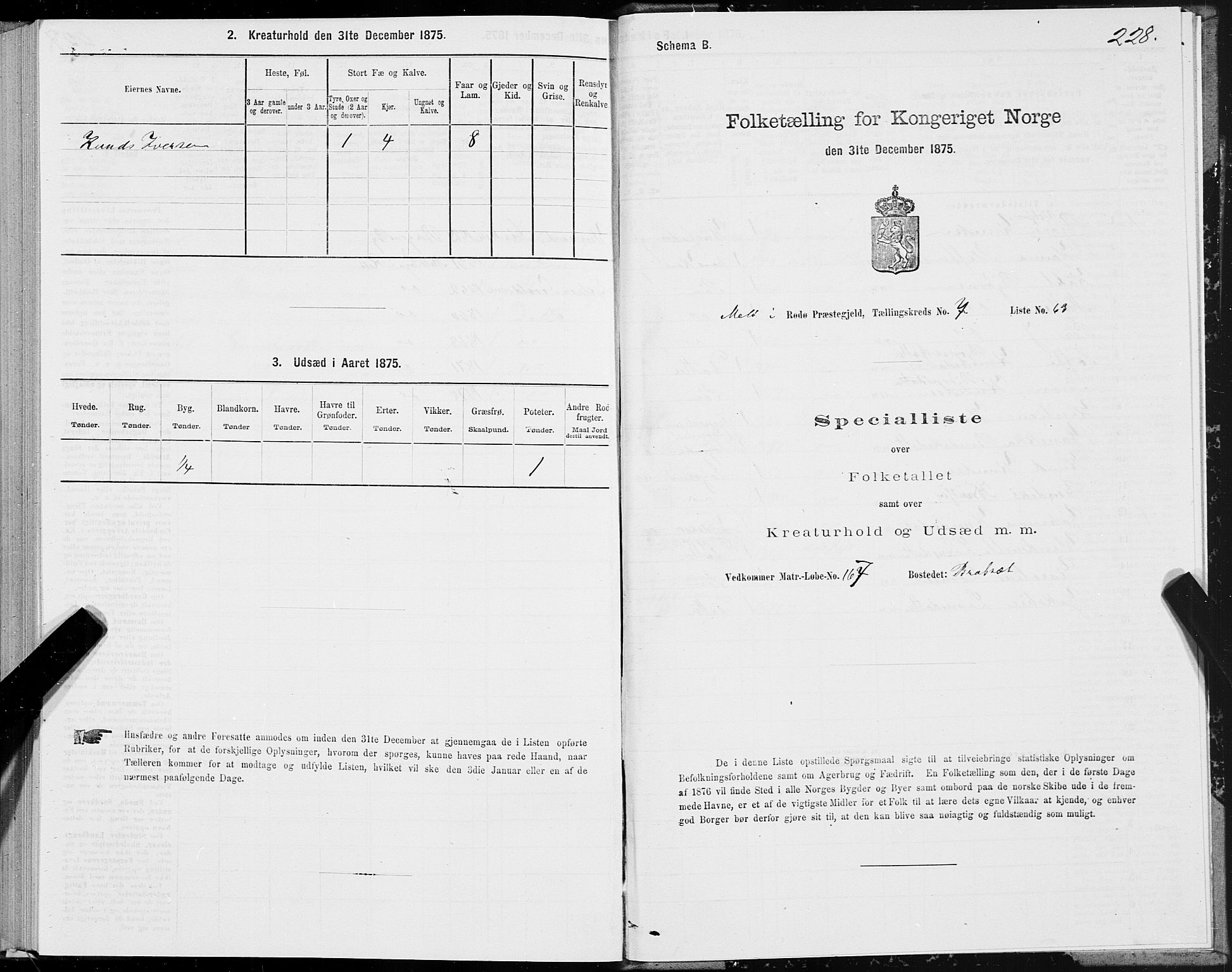 SAT, 1875 census for 1836P Rødøy, 1875, p. 3228