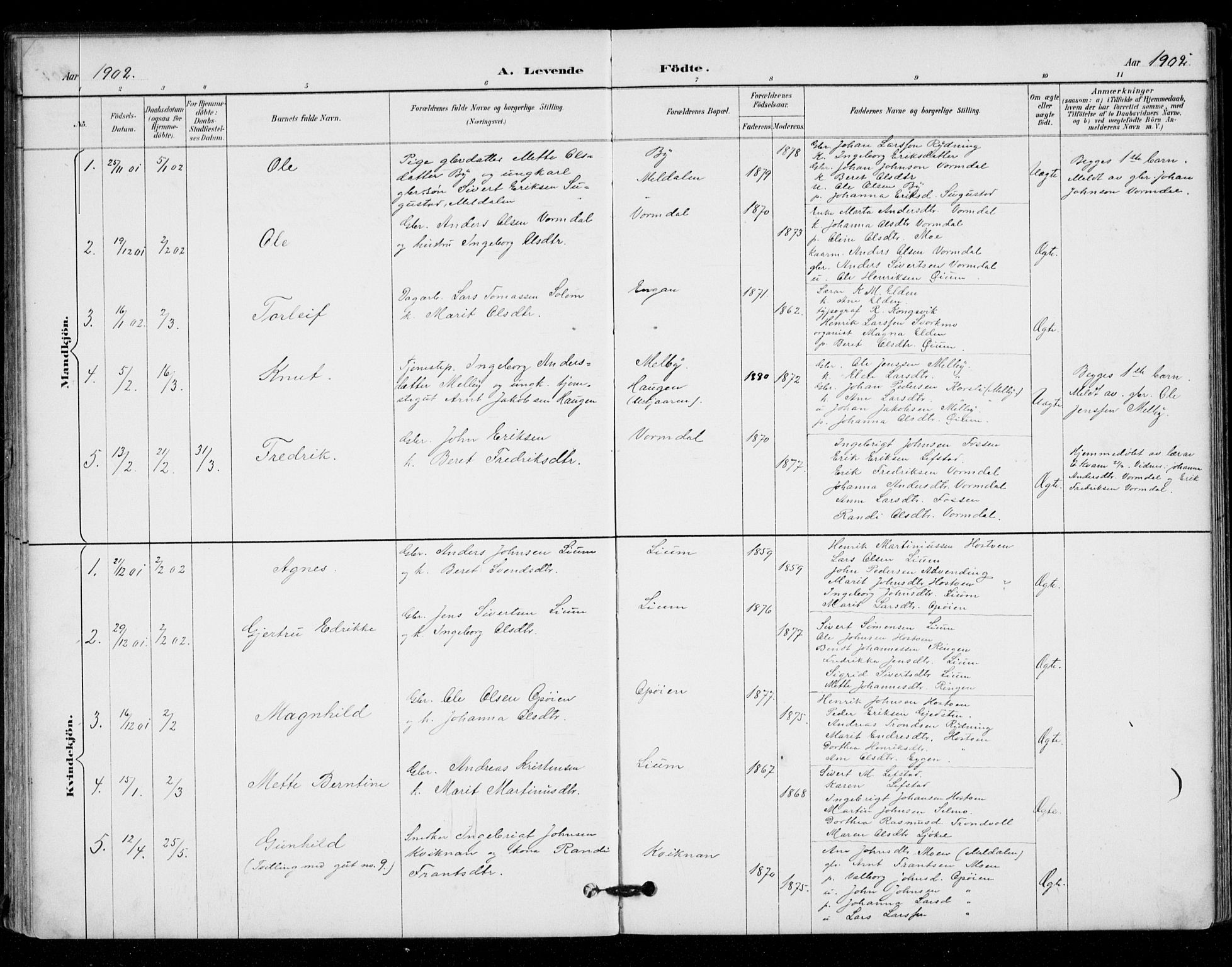 Ministerialprotokoller, klokkerbøker og fødselsregistre - Sør-Trøndelag, SAT/A-1456/671/L0841: Parish register (official) no. 671A03, 1893-1915