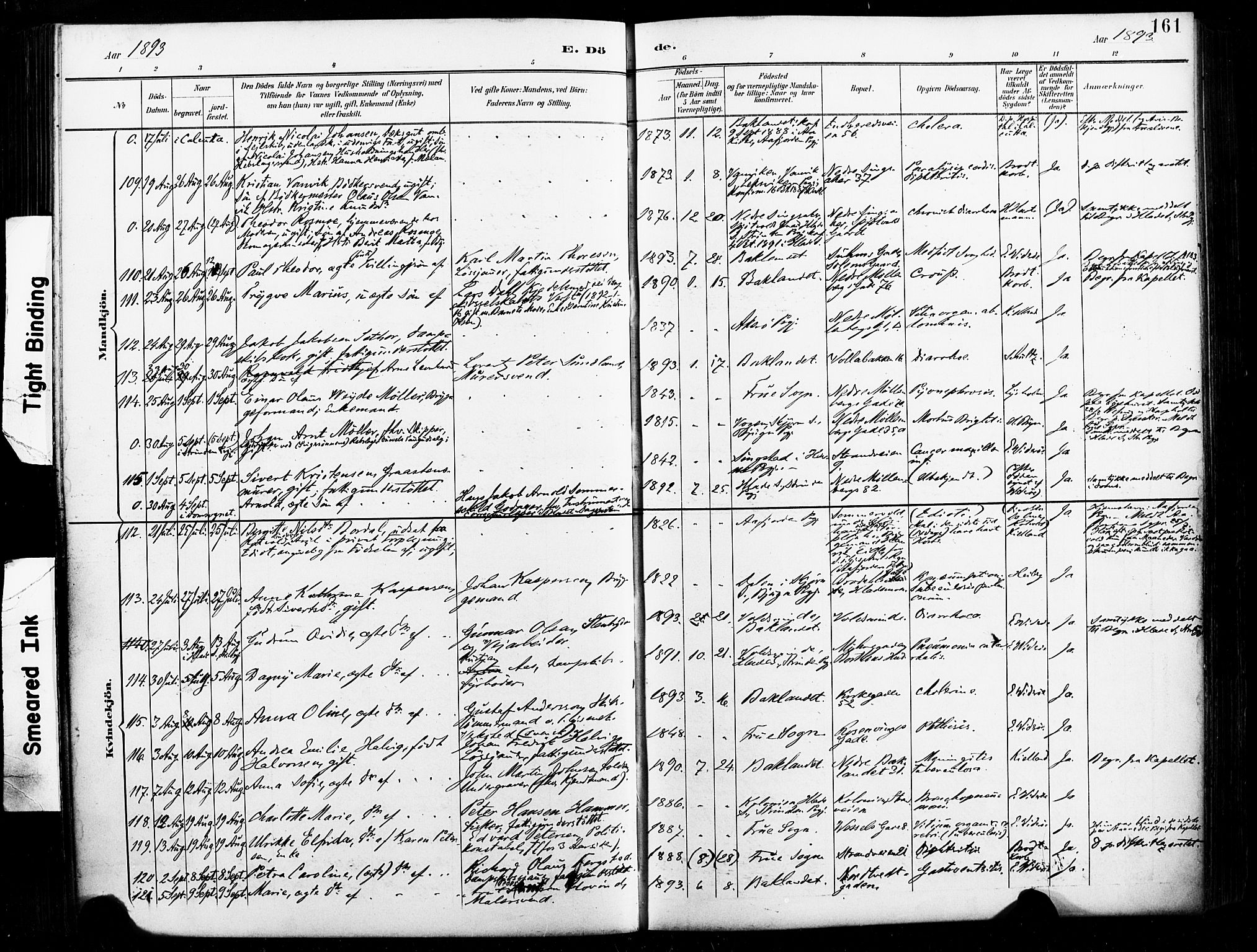 Ministerialprotokoller, klokkerbøker og fødselsregistre - Sør-Trøndelag, AV/SAT-A-1456/604/L0198: Parish register (official) no. 604A19, 1893-1900, p. 161