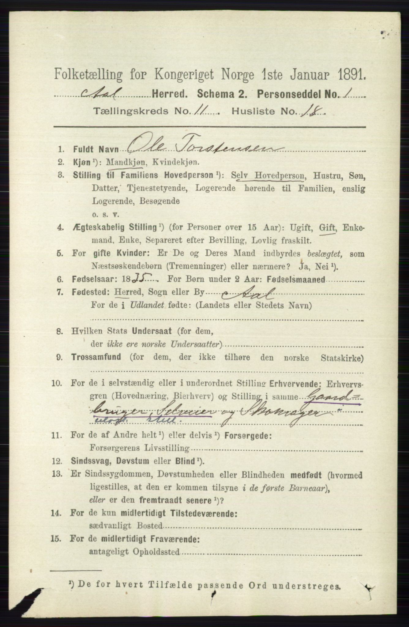 RA, 1891 census for 0619 Ål, 1891, p. 2965