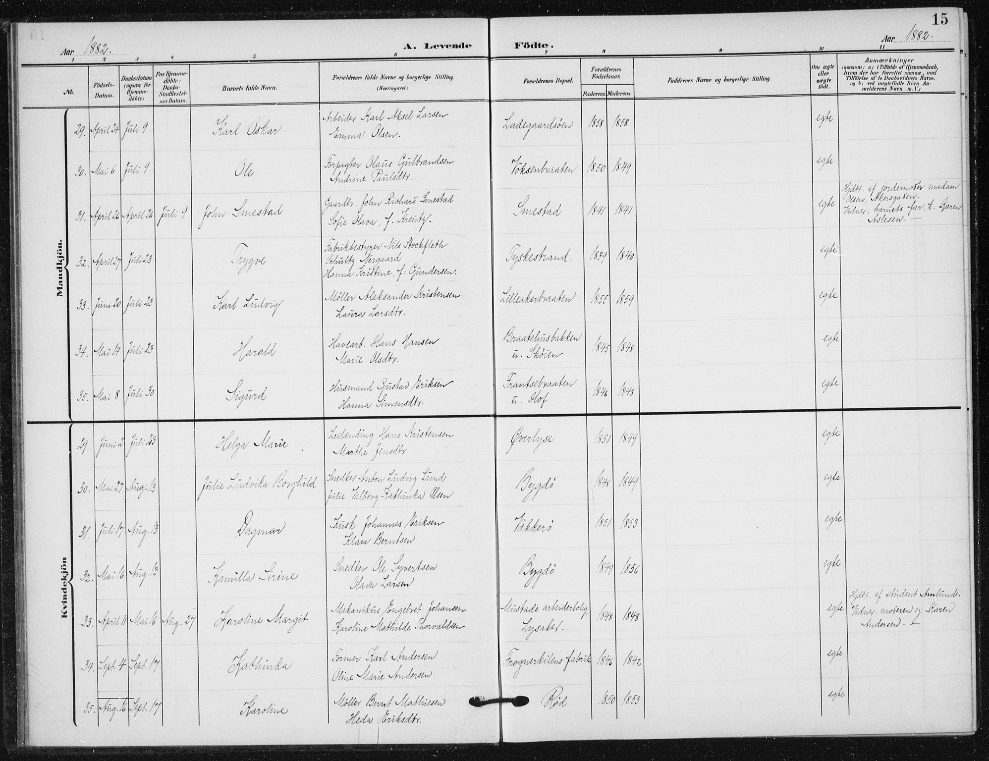 Vestre Aker prestekontor Kirkebøker, AV/SAO-A-10025/F/Fb/L0001: Parish register (official) no. II 1, 1880-1906, p. 15