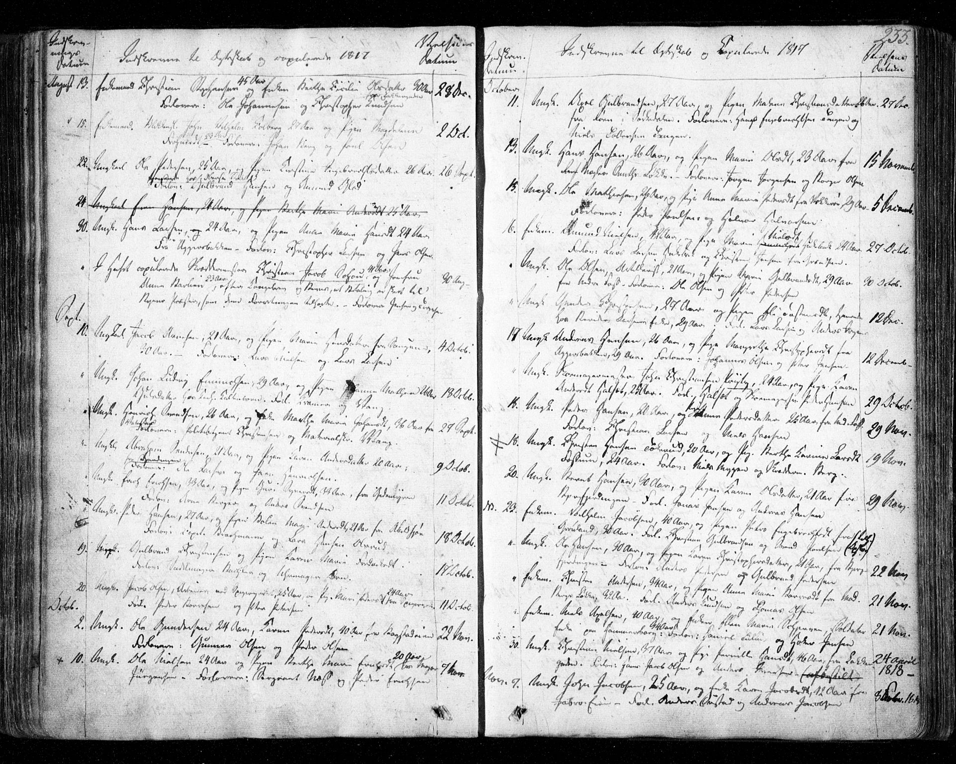 Aker prestekontor kirkebøker, AV/SAO-A-10861/F/L0011: Parish register (official) no. 11, 1810-1819, p. 233