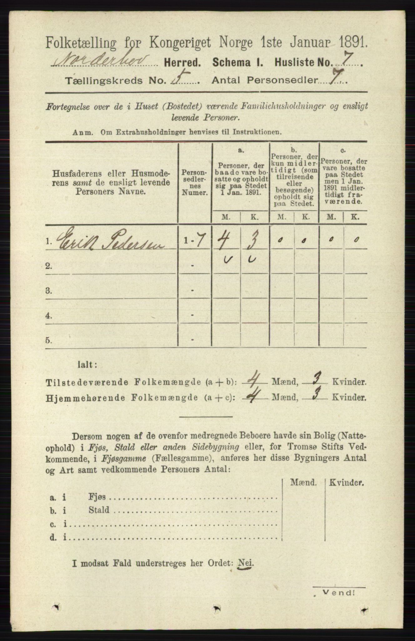 RA, 1891 census for 0613 Norderhov, 1891, p. 3447