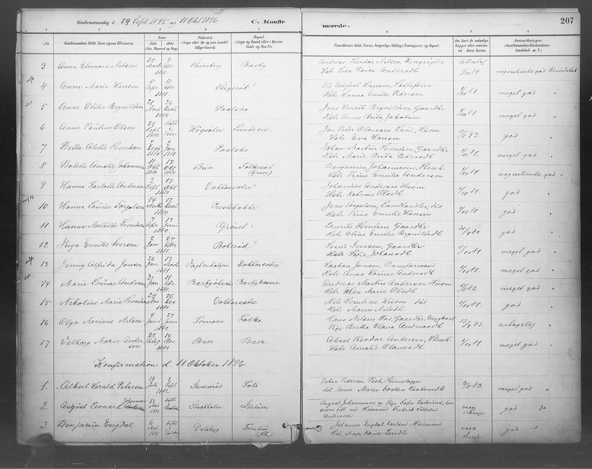 Idd prestekontor Kirkebøker, SAO/A-10911/F/Fb/L0002: Parish register (official) no. II 2, 1882-1923, p. 207
