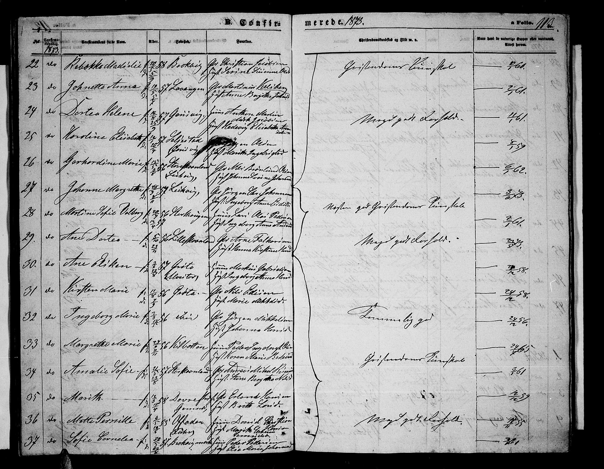 Trondenes sokneprestkontor, SATØ/S-1319/H/Hb/L0009klokker: Parish register (copy) no. 9, 1870-1876, p. 113