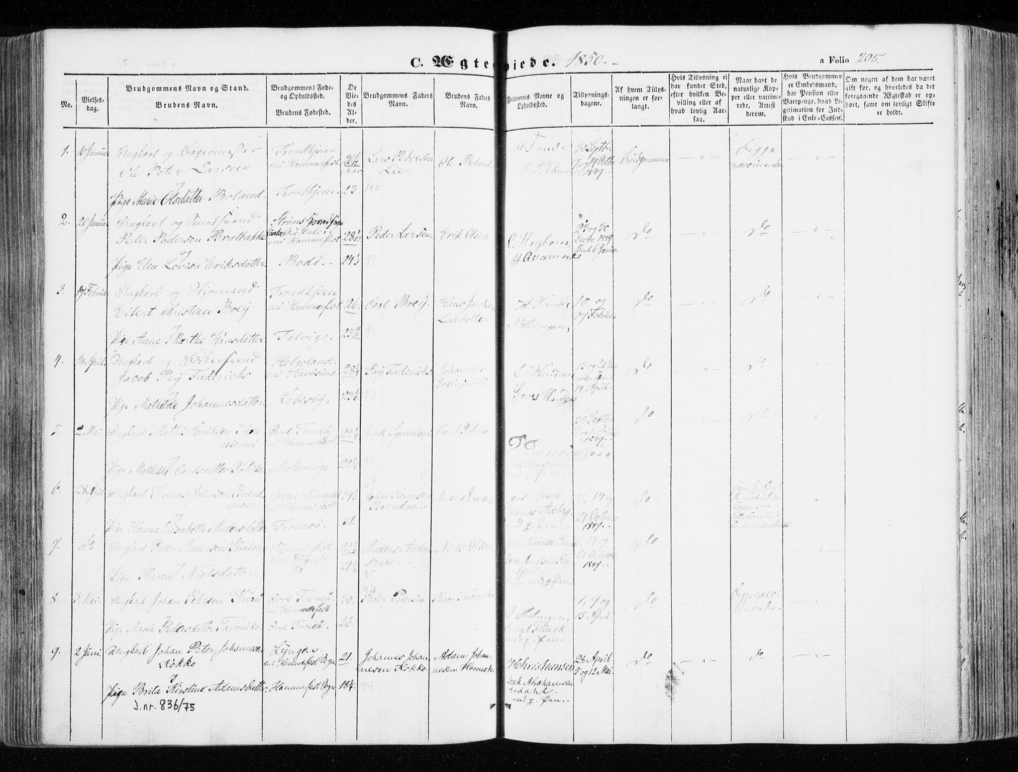 Hammerfest sokneprestkontor, SATØ/S-1347/H/Ha/L0004.kirke: Parish register (official) no. 4, 1843-1856, p. 205