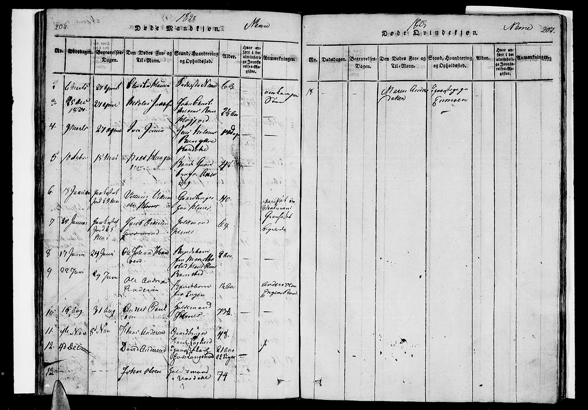 Ministerialprotokoller, klokkerbøker og fødselsregistre - Nordland, AV/SAT-A-1459/838/L0546: Parish register (official) no. 838A05 /1, 1820-1828, p. 206-207