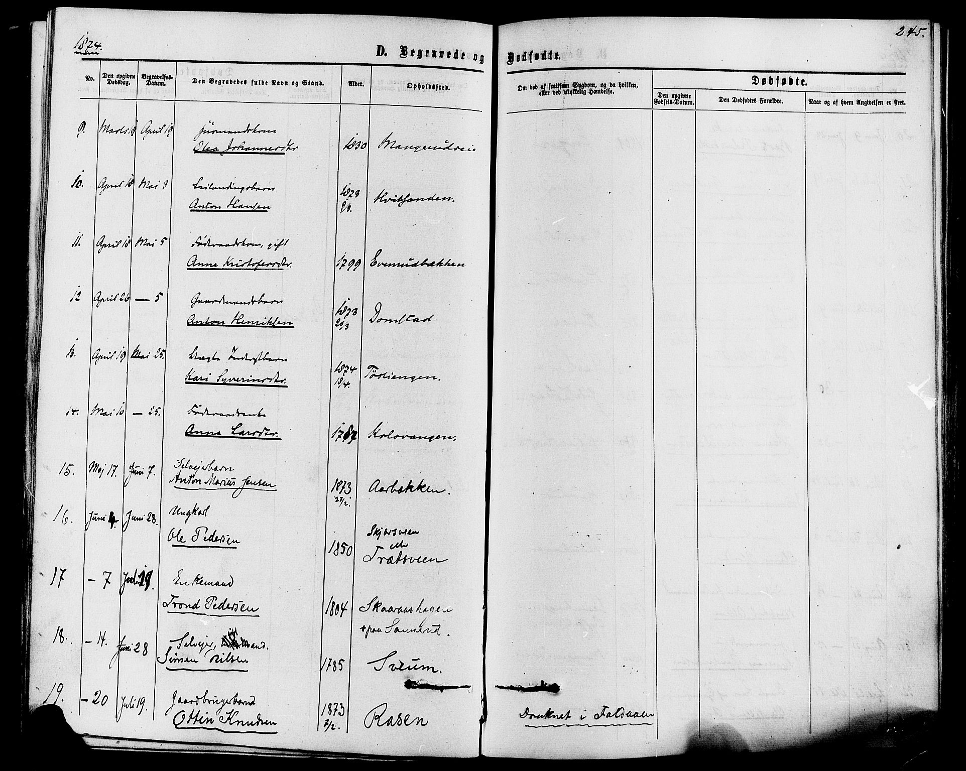 Romedal prestekontor, SAH/PREST-004/K/L0006: Parish register (official) no. 6, 1866-1886, p. 245
