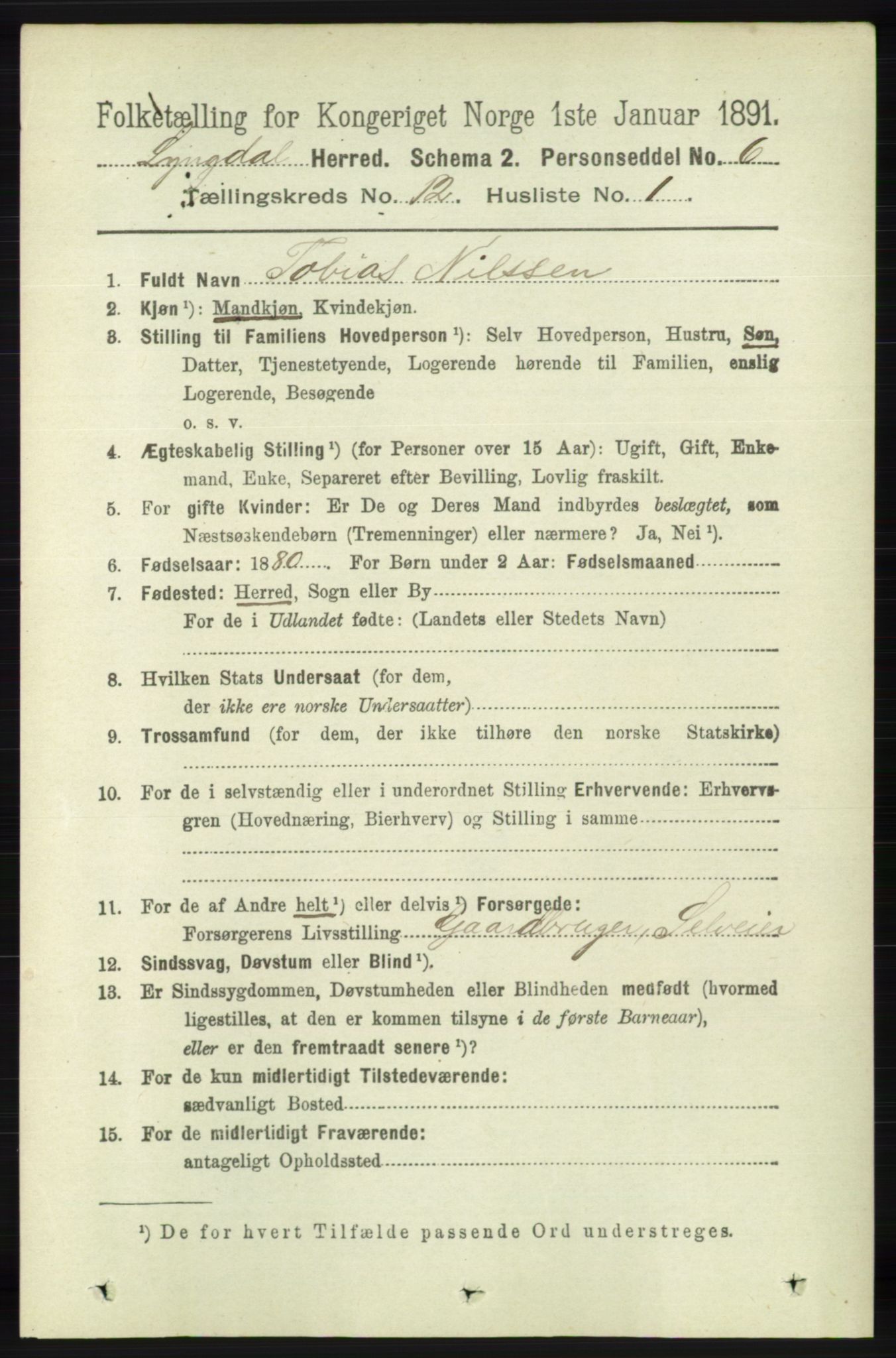 RA, 1891 census for 1032 Lyngdal, 1891, p. 5262