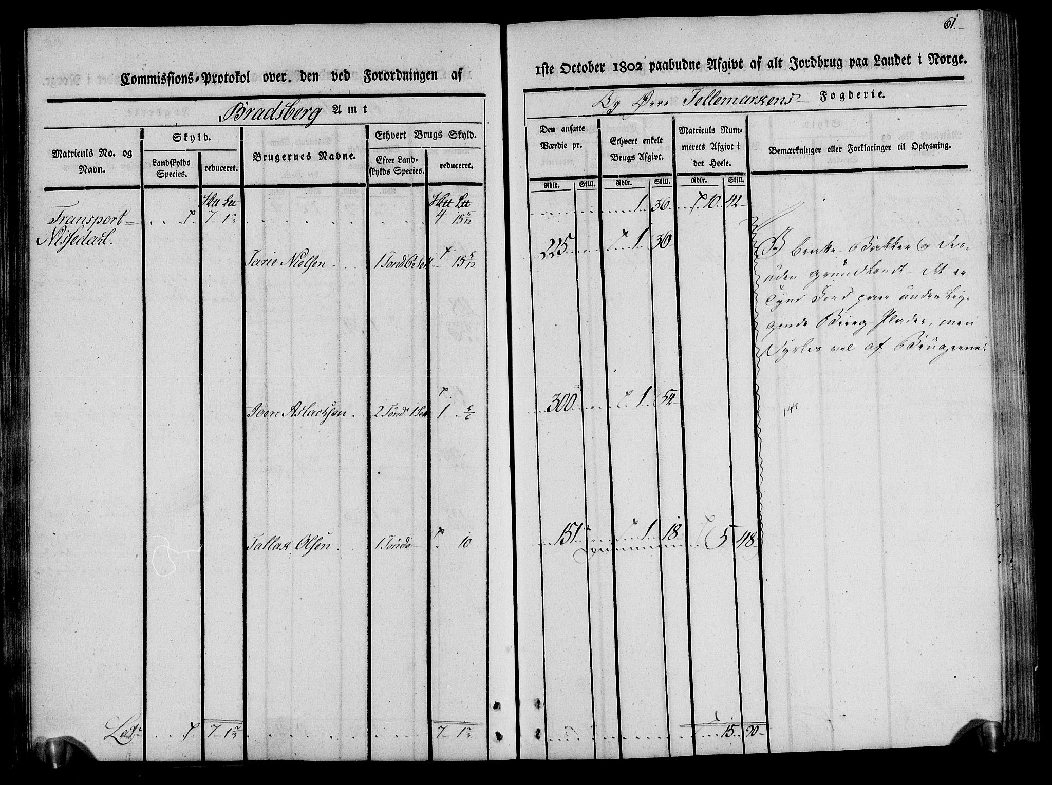 Rentekammeret inntil 1814, Realistisk ordnet avdeling, RA/EA-4070/N/Ne/Nea/L0075: Øvre Telemarken fogderi. Kommisjonsprotokoll for fogderiets vestre del - Kviteseid, Vinje, Moland [):Fyresdal] og Lårdal prestegjeld., 1803, p. 61