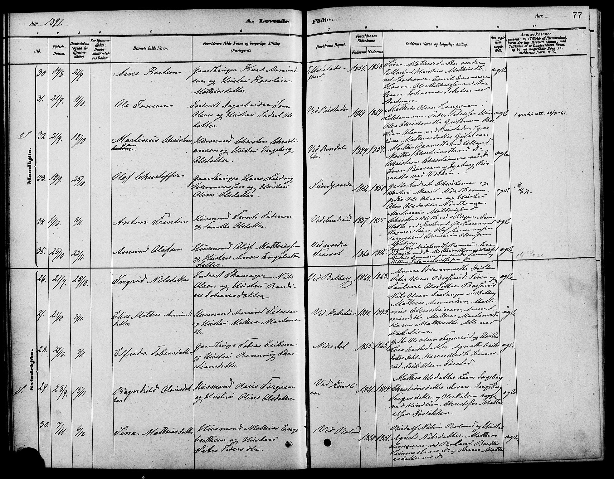 Fåberg prestekontor, AV/SAH-PREST-086/H/Ha/Haa/L0008: Parish register (official) no. 8, 1879-1898, p. 77