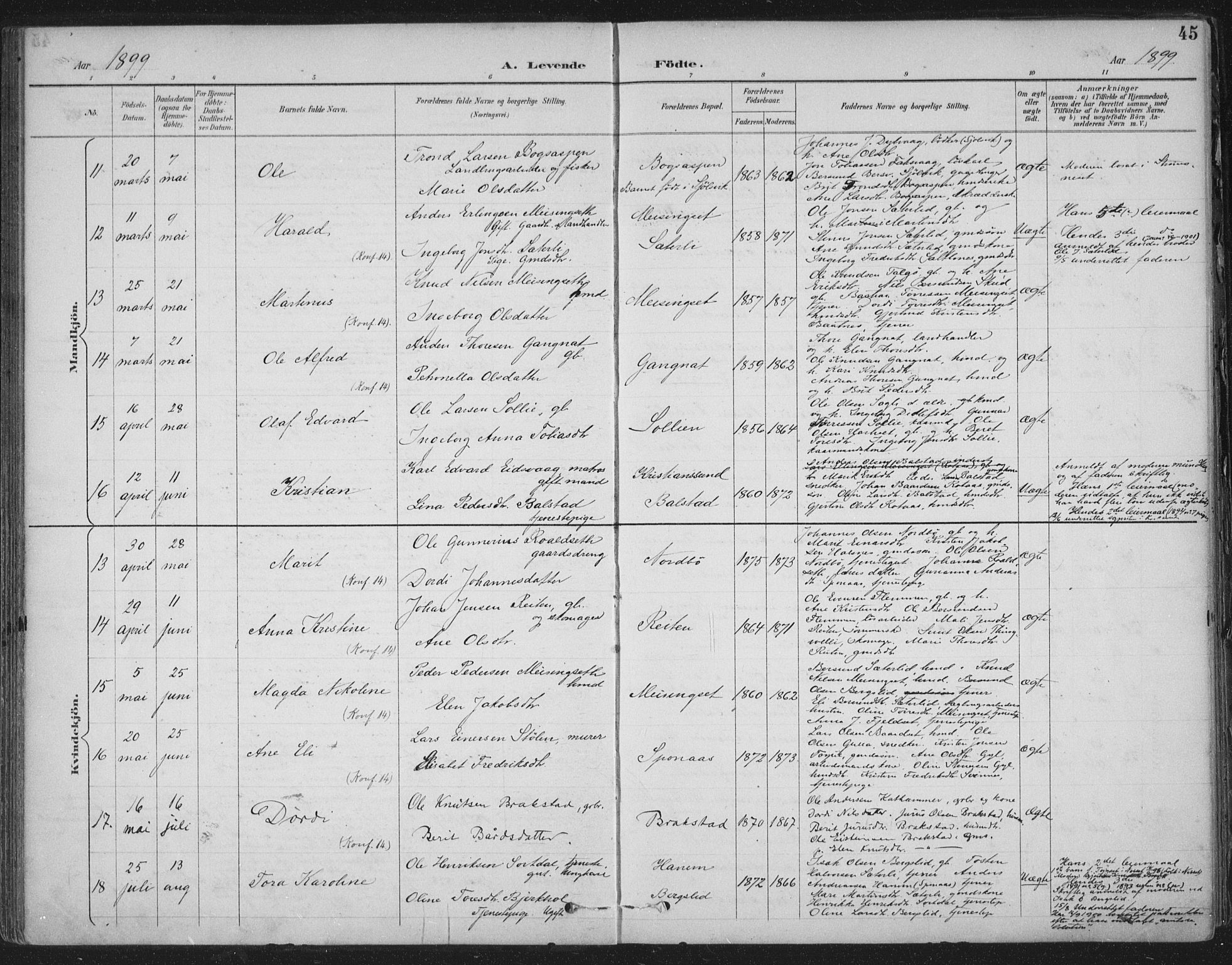 Ministerialprotokoller, klokkerbøker og fødselsregistre - Møre og Romsdal, AV/SAT-A-1454/586/L0988: Parish register (official) no. 586A14, 1893-1905, p. 45