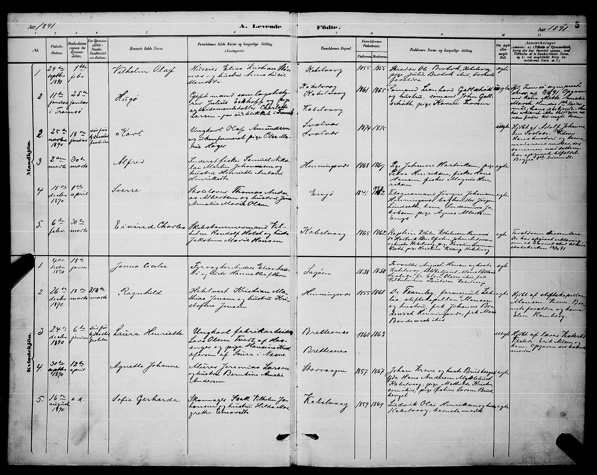 Ministerialprotokoller, klokkerbøker og fødselsregistre - Nordland, AV/SAT-A-1459/874/L1077: Parish register (copy) no. 874C06, 1891-1900, p. 5