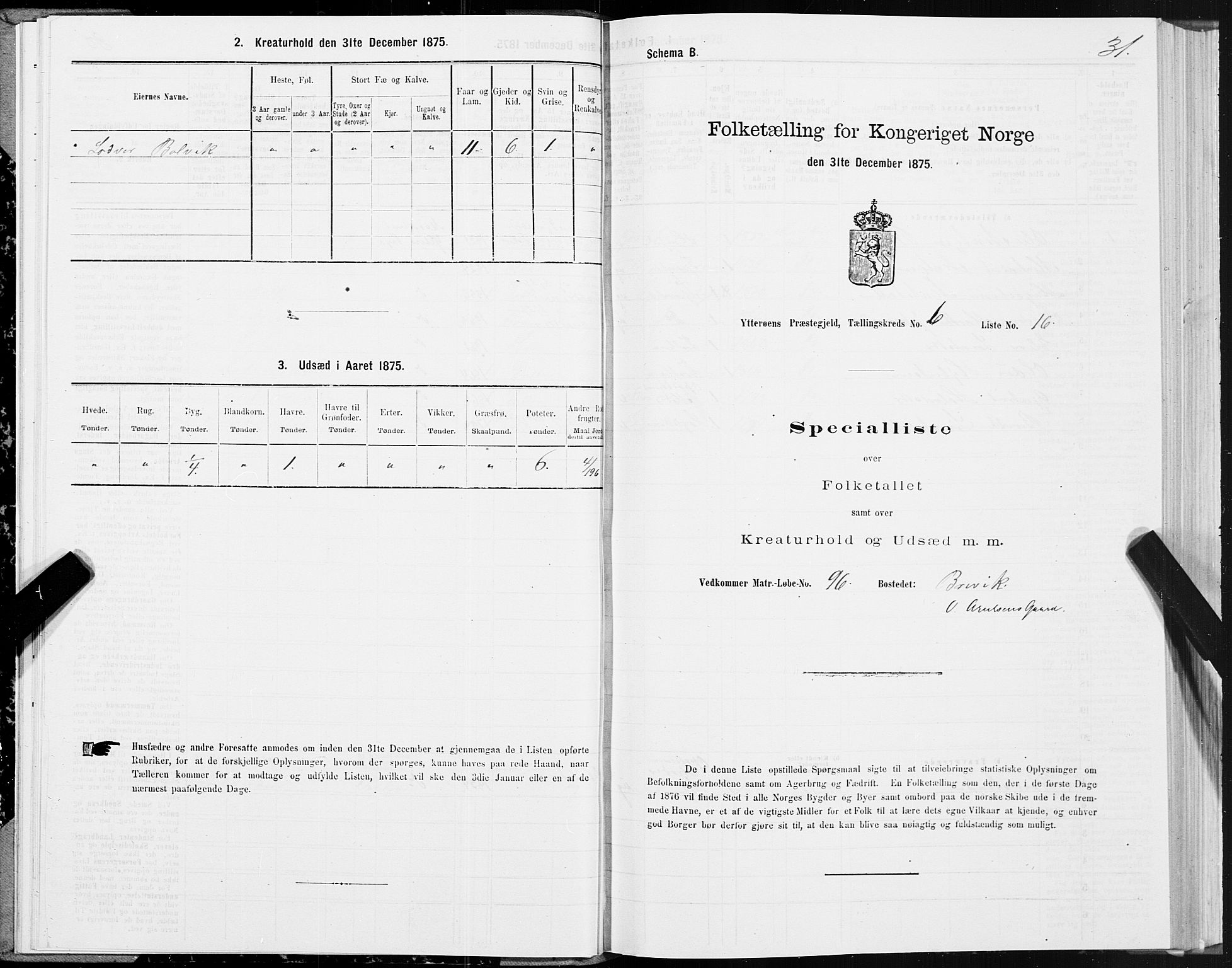 SAT, 1875 census for 1722P Ytterøy, 1875, p. 3031