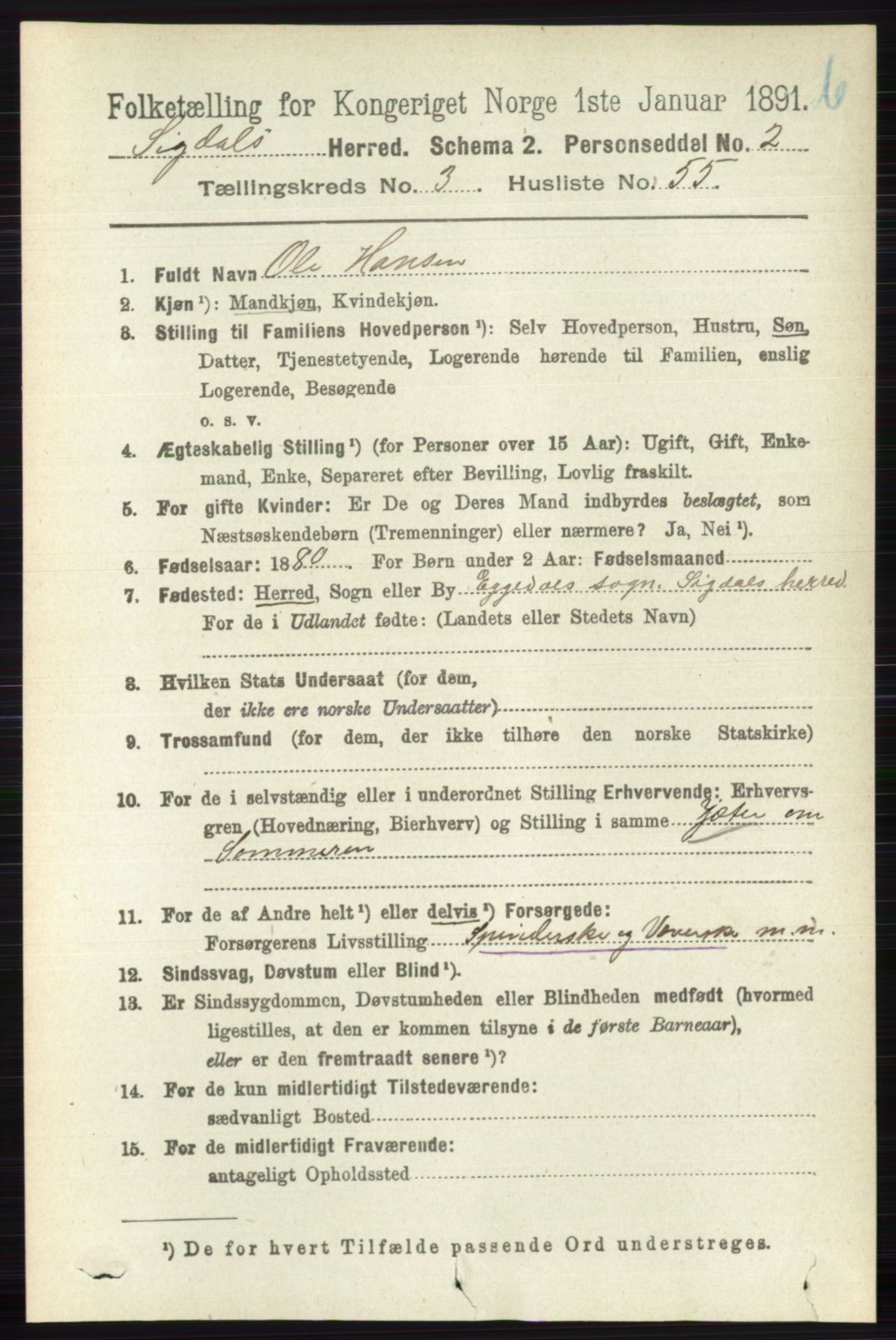 RA, 1891 census for 0621 Sigdal, 1891, p. 4611