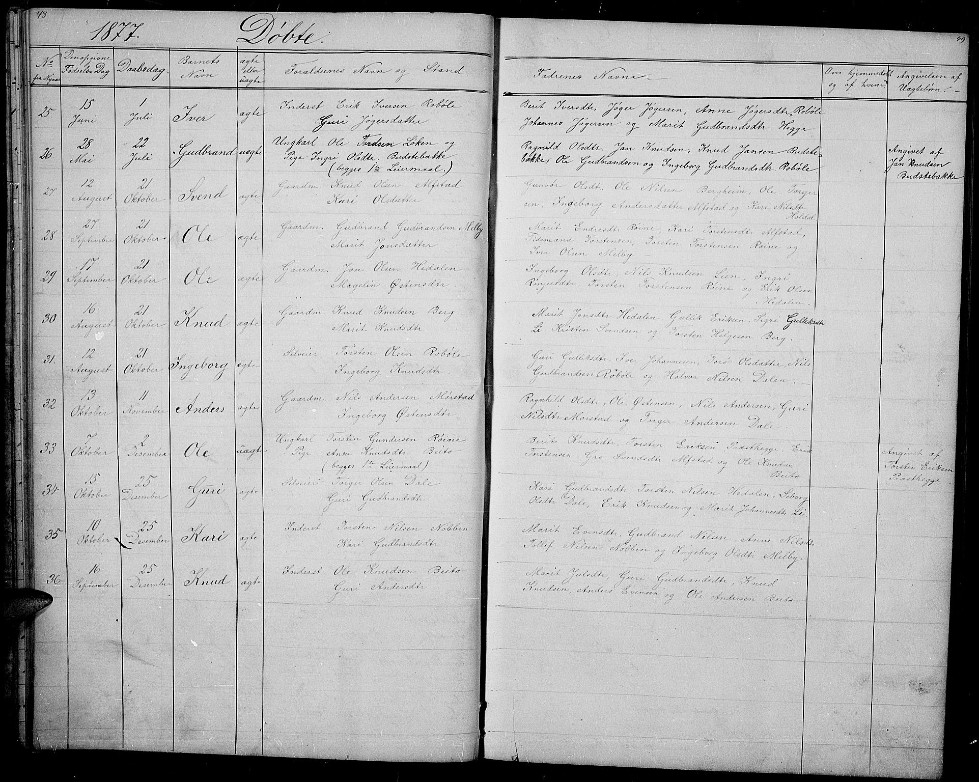 Øystre Slidre prestekontor, SAH/PREST-138/H/Ha/Hab/L0001: Parish register (copy) no. 1, 1866-1886, p. 48-49