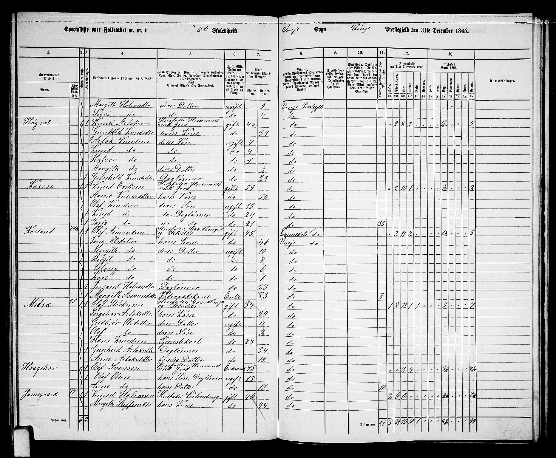 RA, 1865 census for Vinje, 1865, p. 47