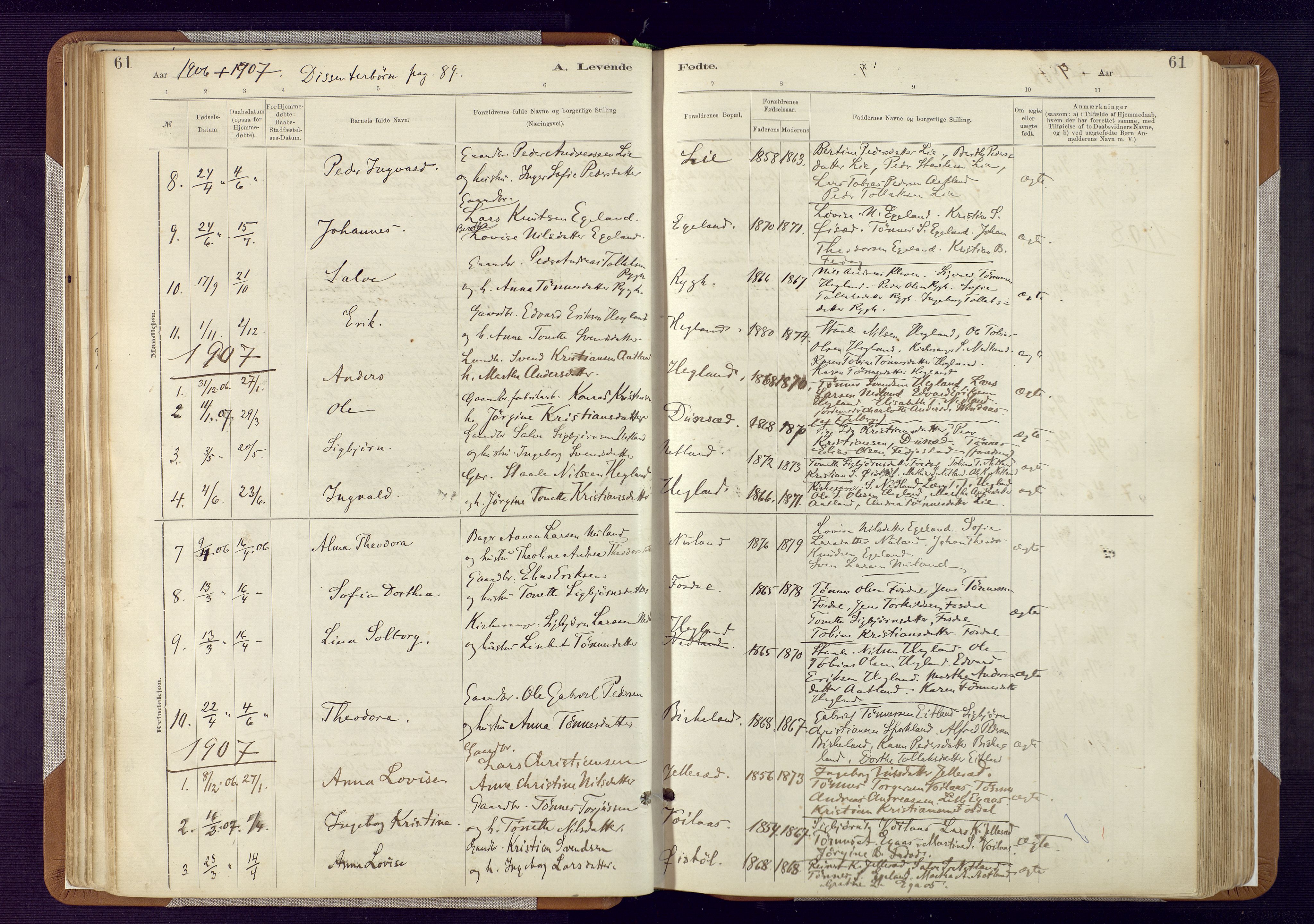 Bakke sokneprestkontor, SAK/1111-0002/F/Fa/Fab/L0003: Parish register (official) no. A 3, 1884-1921, p. 61