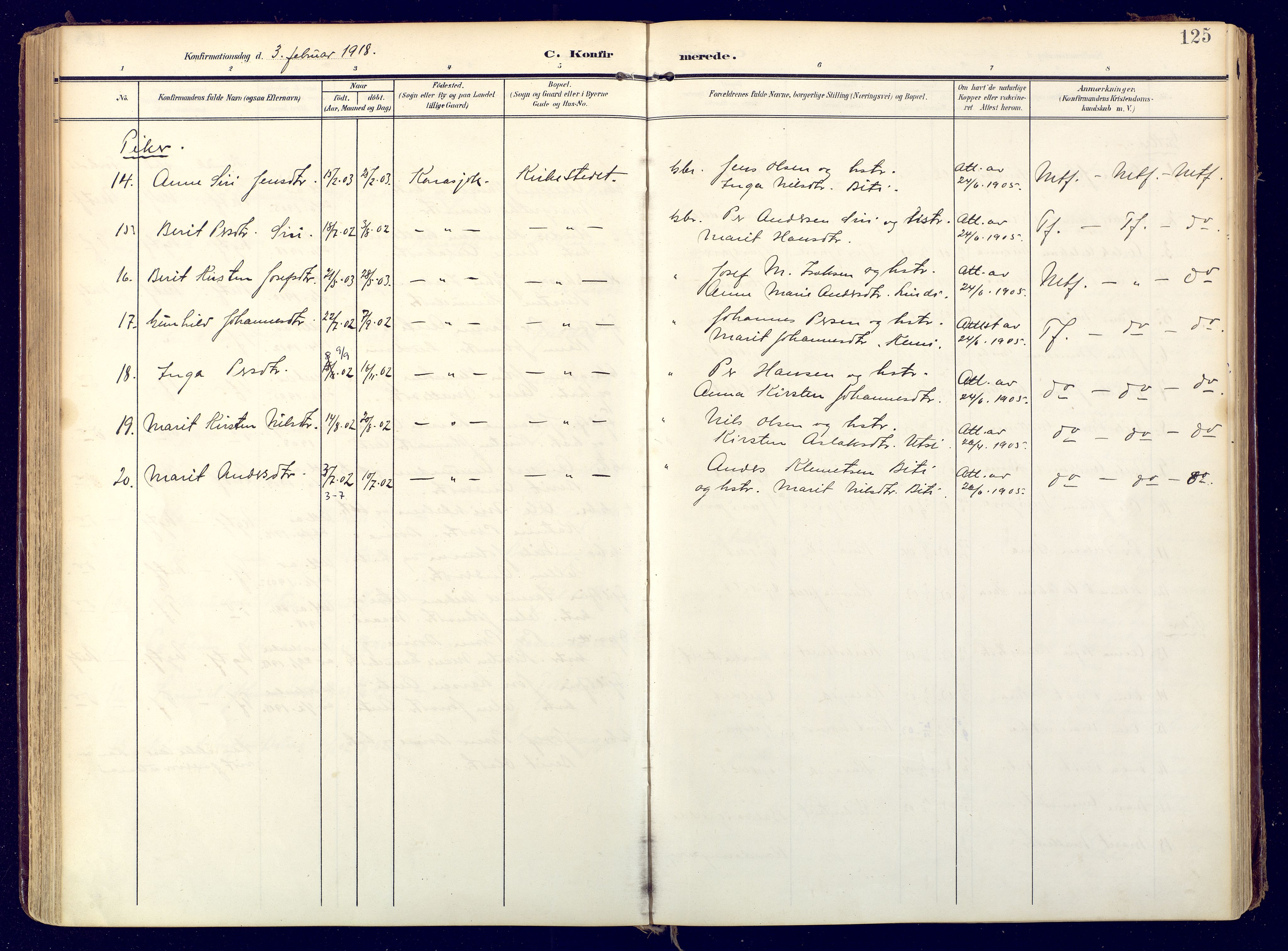 Karasjok sokneprestkontor, AV/SATØ-S-1352/H/Ha: Parish register (official) no. 3, 1907-1926, p. 125