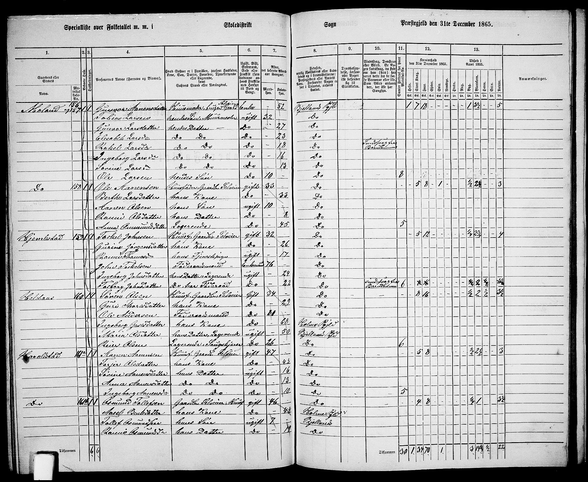 RA, 1865 census for Bjelland, 1865, p. 98