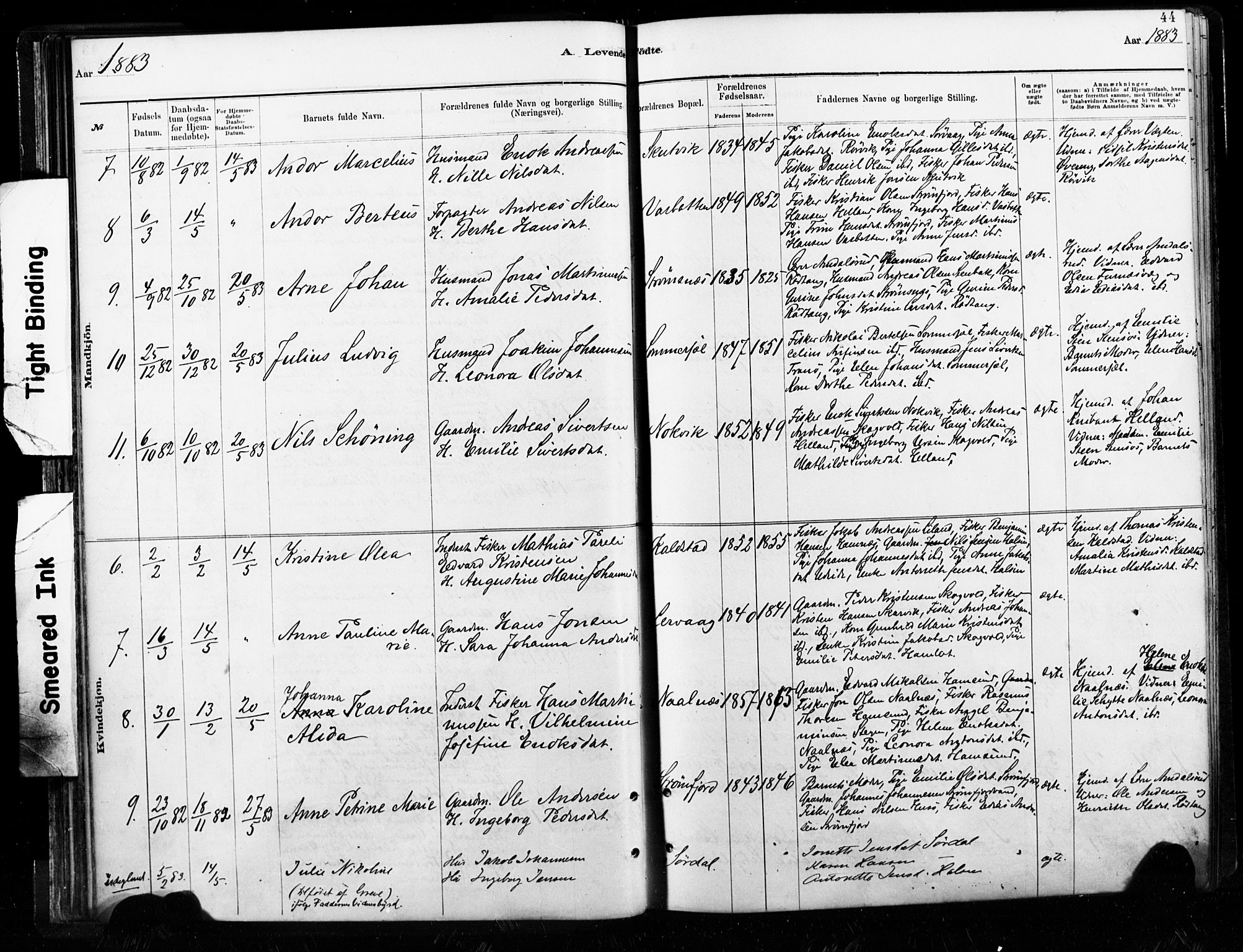 Ministerialprotokoller, klokkerbøker og fødselsregistre - Nordland, SAT/A-1459/859/L0846: Parish register (official) no. 859A06, 1878-1889, p. 44