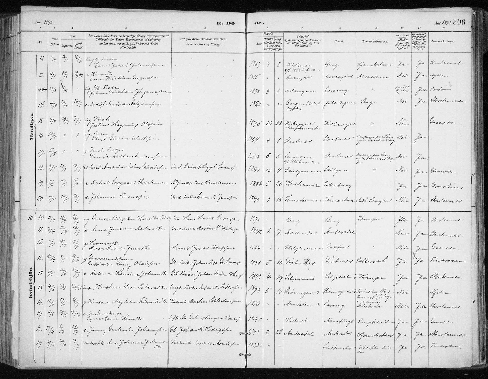 Tromsøysund sokneprestkontor, SATØ/S-1304/G/Ga/L0005kirke: Parish register (official) no. 5, 1888-1896, p. 306