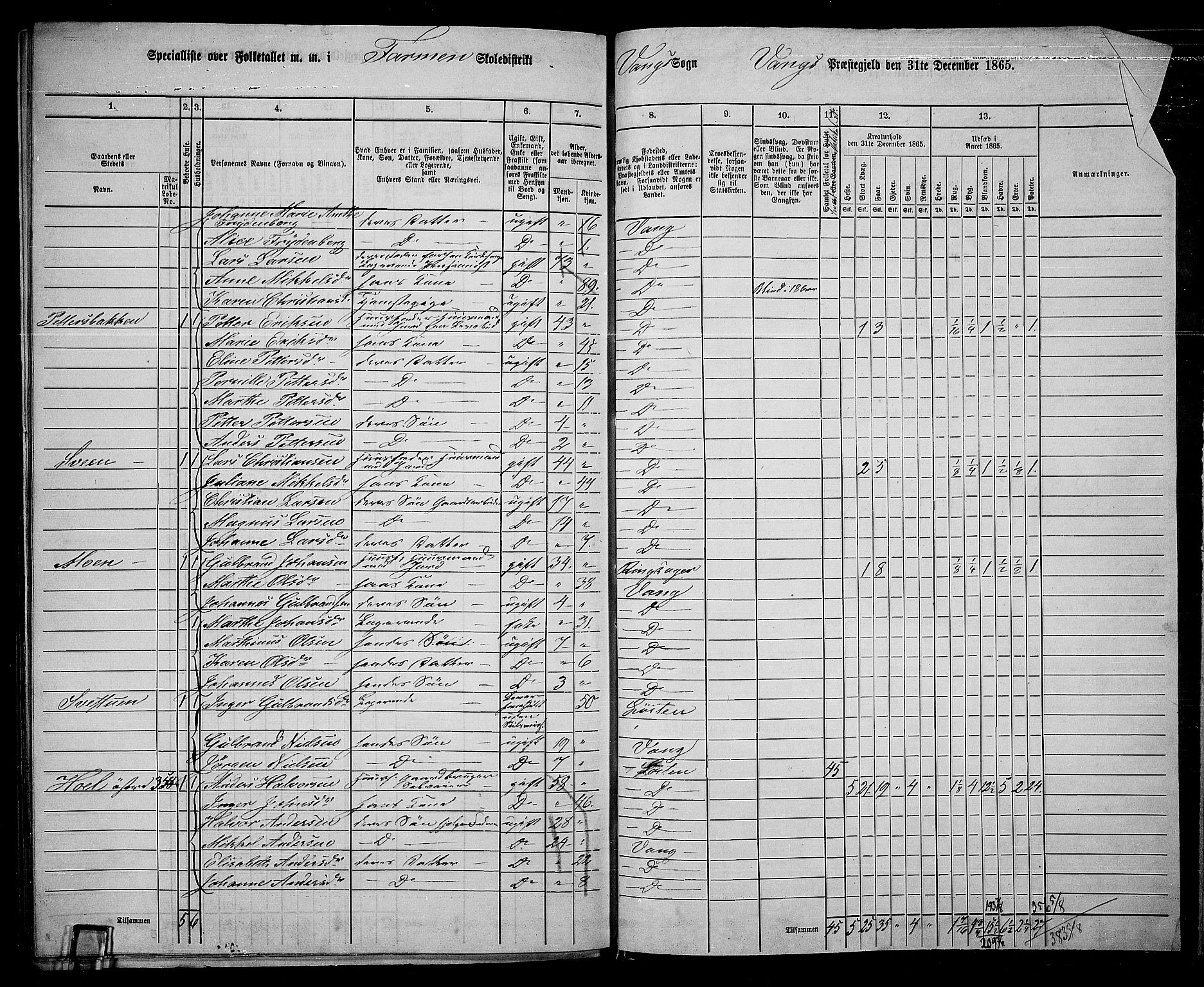 RA, 1865 census for Vang/Vang og Furnes, 1865, p. 318