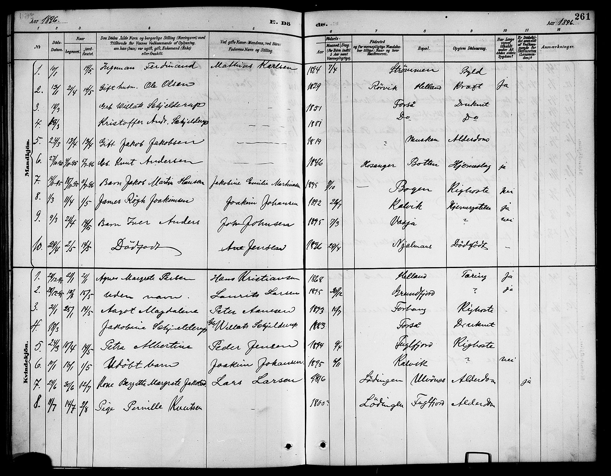 Ministerialprotokoller, klokkerbøker og fødselsregistre - Nordland, AV/SAT-A-1459/861/L0876: Parish register (copy) no. 861C02, 1887-1903, p. 261