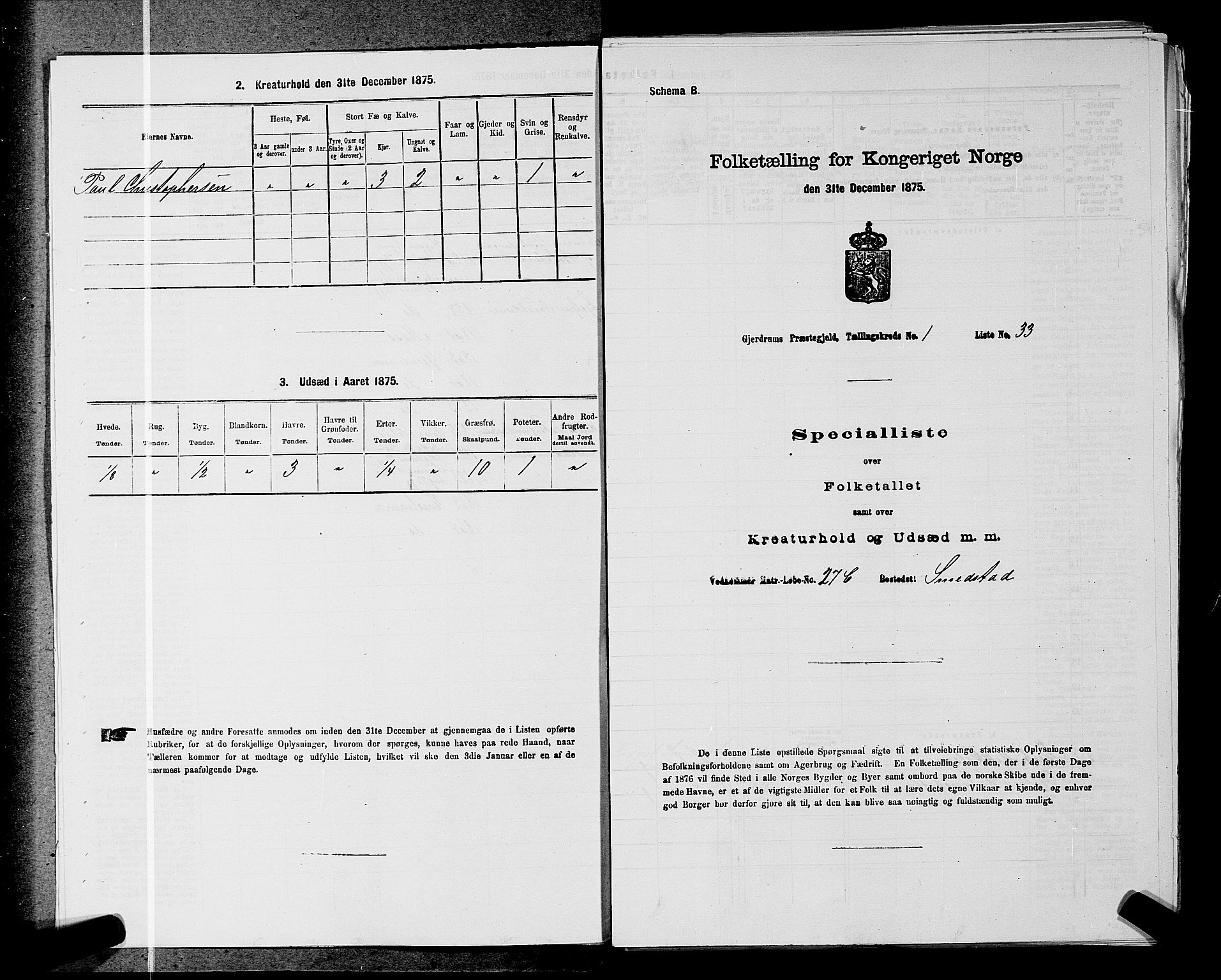 RA, 1875 census for 0234P Gjerdrum, 1875, p. 25