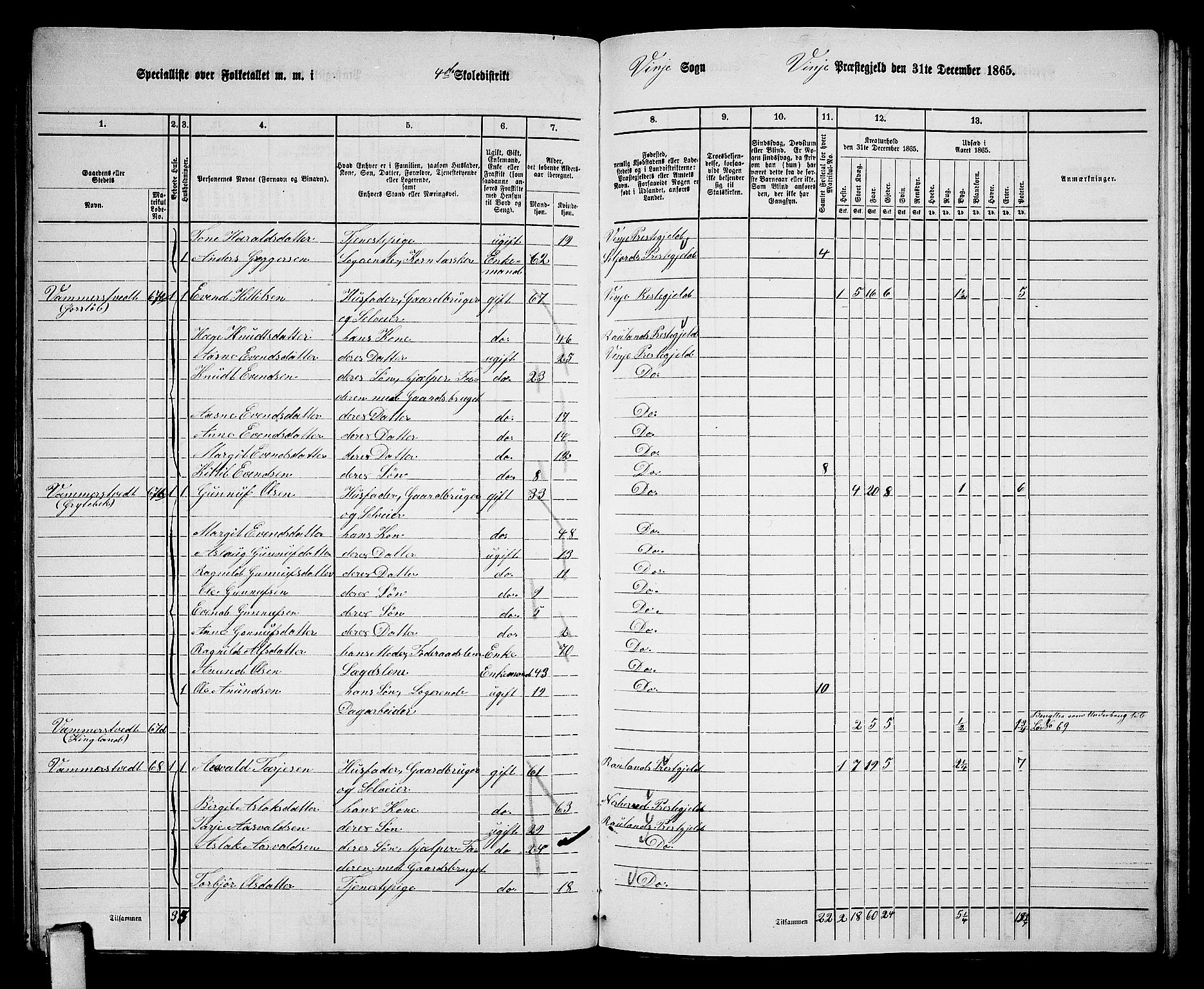 RA, 1865 census for Vinje, 1865, p. 41