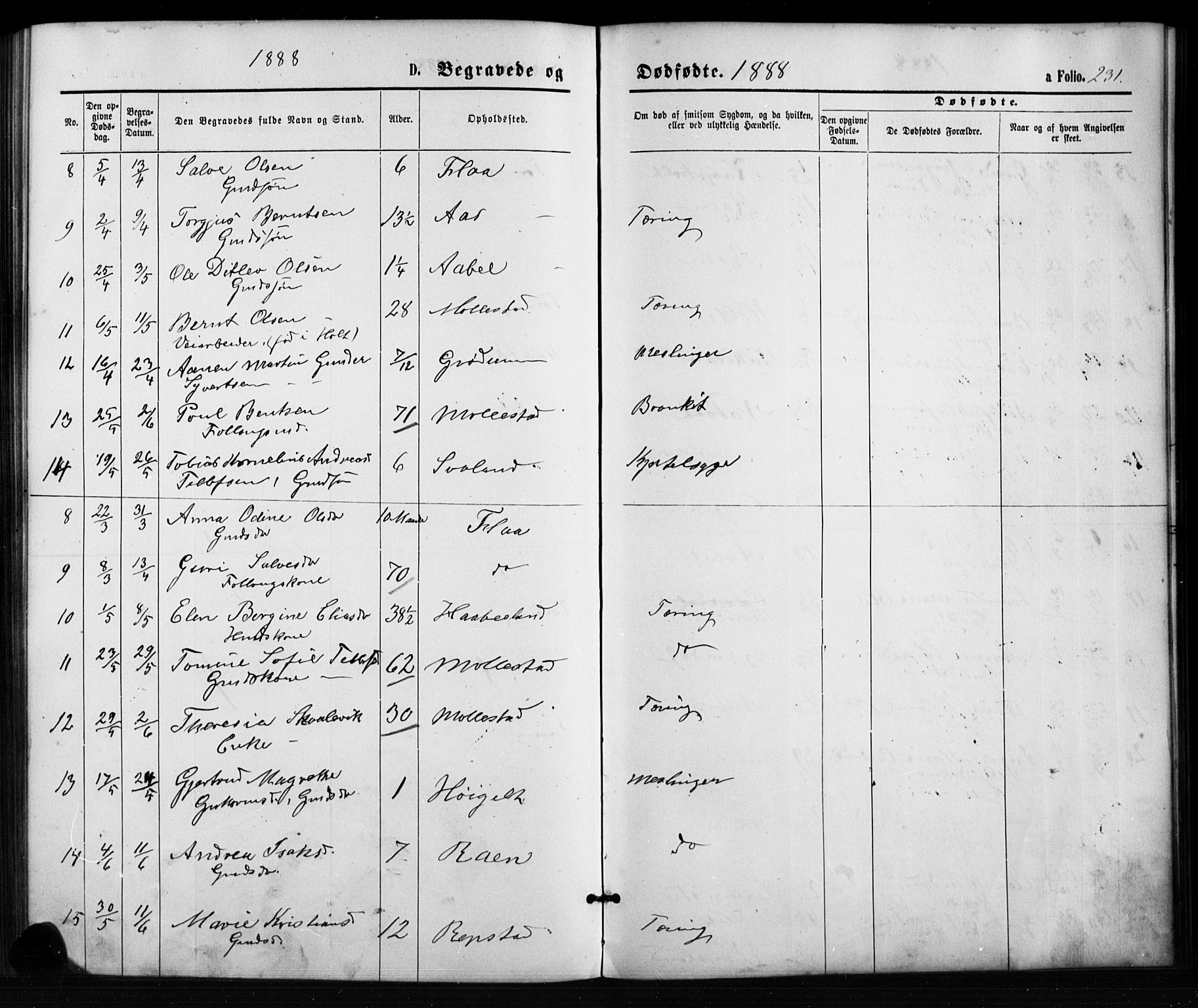 Birkenes sokneprestkontor, SAK/1111-0004/F/Fb/L0003: Parish register (copy) no. B 3, 1876-1892, p. 231