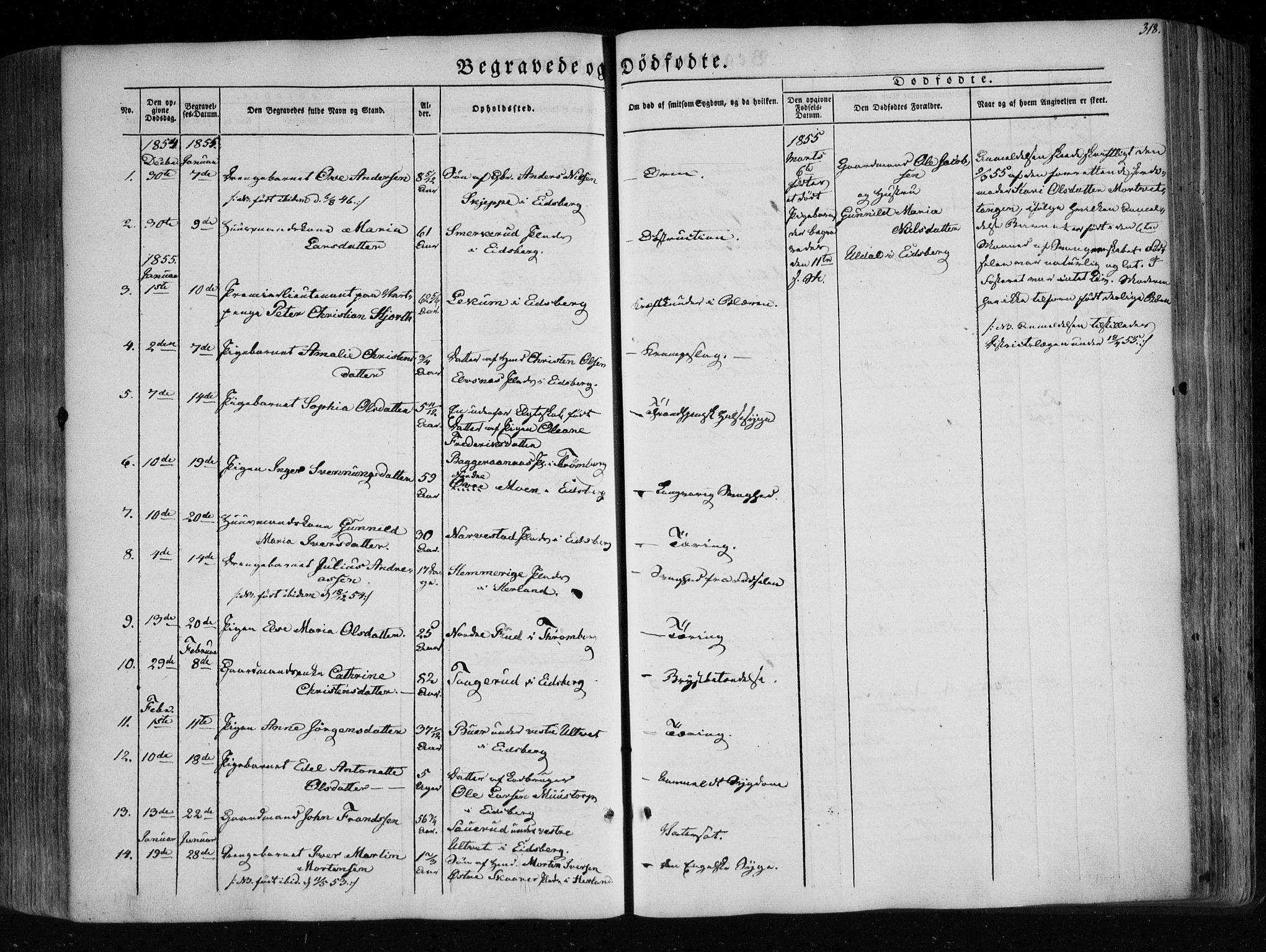 Eidsberg prestekontor Kirkebøker, SAO/A-10905/F/Fa/L0009: Parish register (official) no. I 9, 1849-1856, p. 318