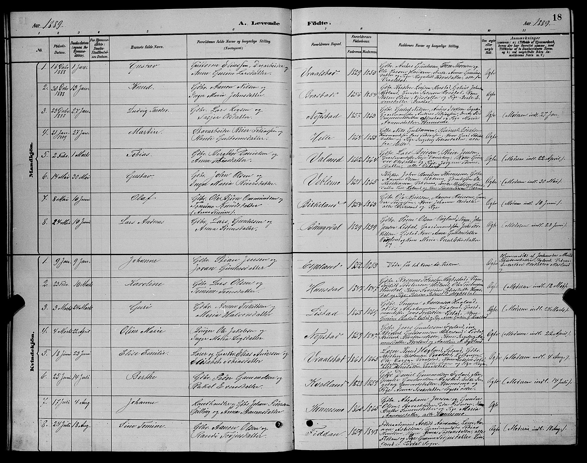 Nord-Audnedal sokneprestkontor, AV/SAK-1111-0032/F/Fb/Fba/L0003: Parish register (copy) no. B 3, 1881-1900, p. 18