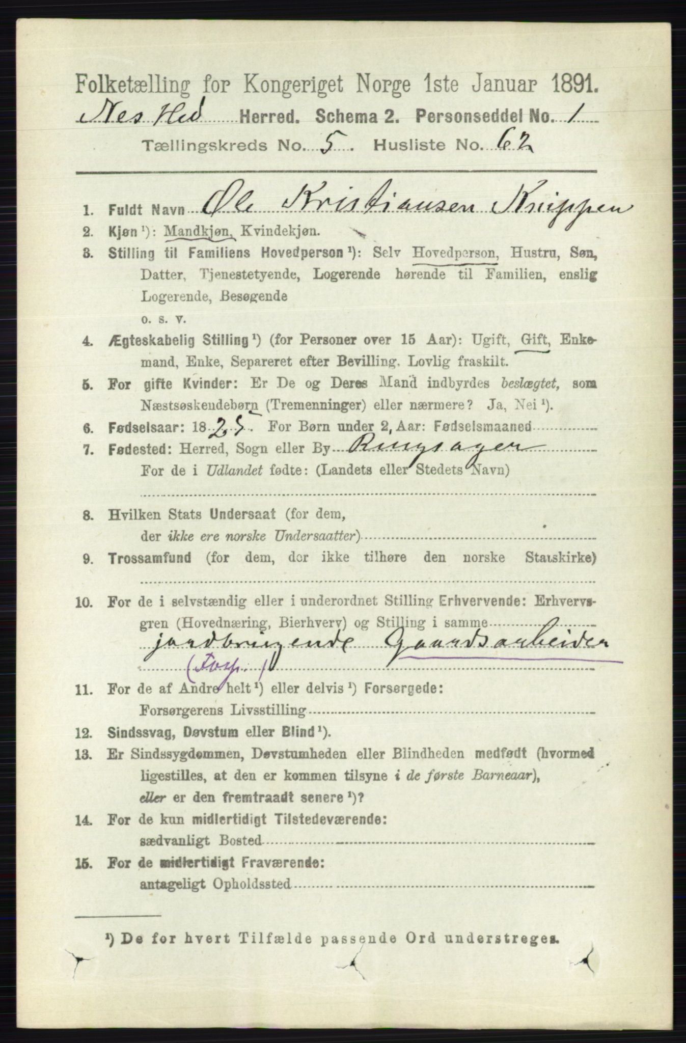 RA, 1891 census for 0411 Nes, 1891, p. 3006
